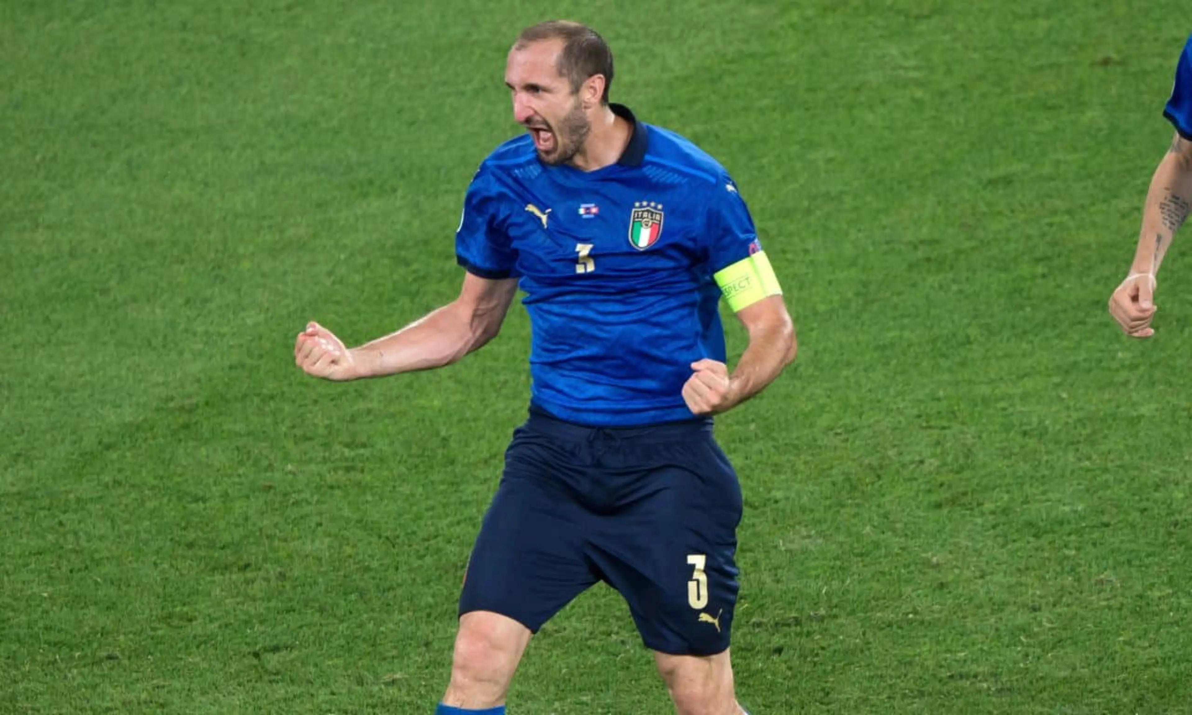 Giorgio Chiellini, Italy