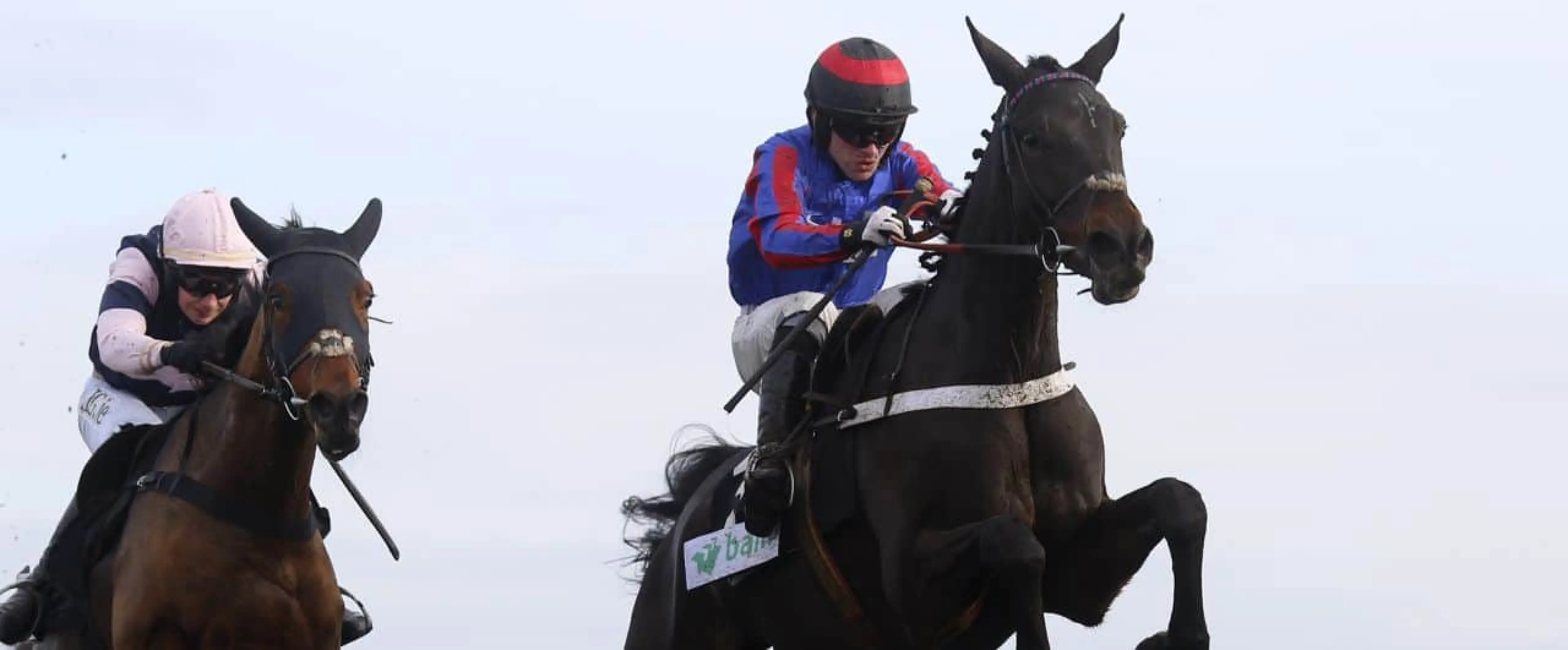 Horse Racing odds
