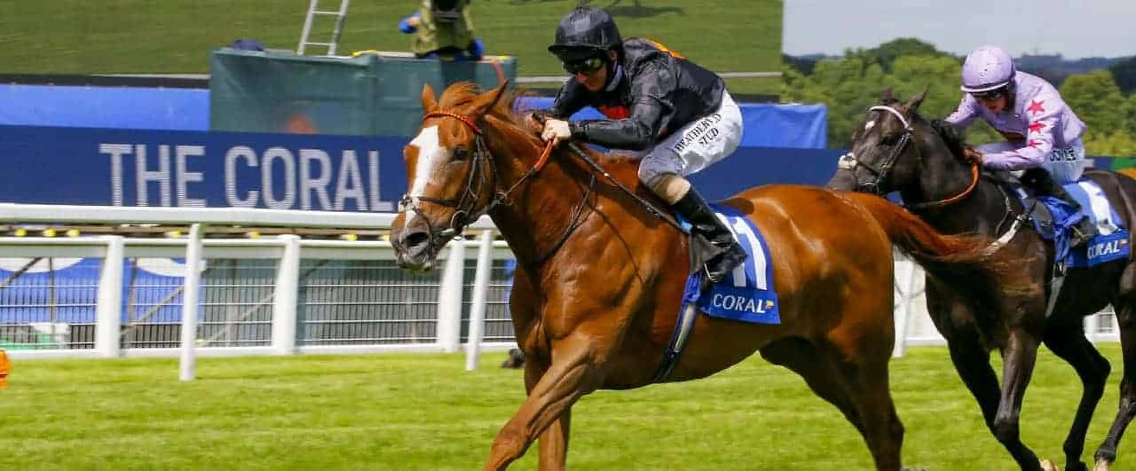 Donncha odds
