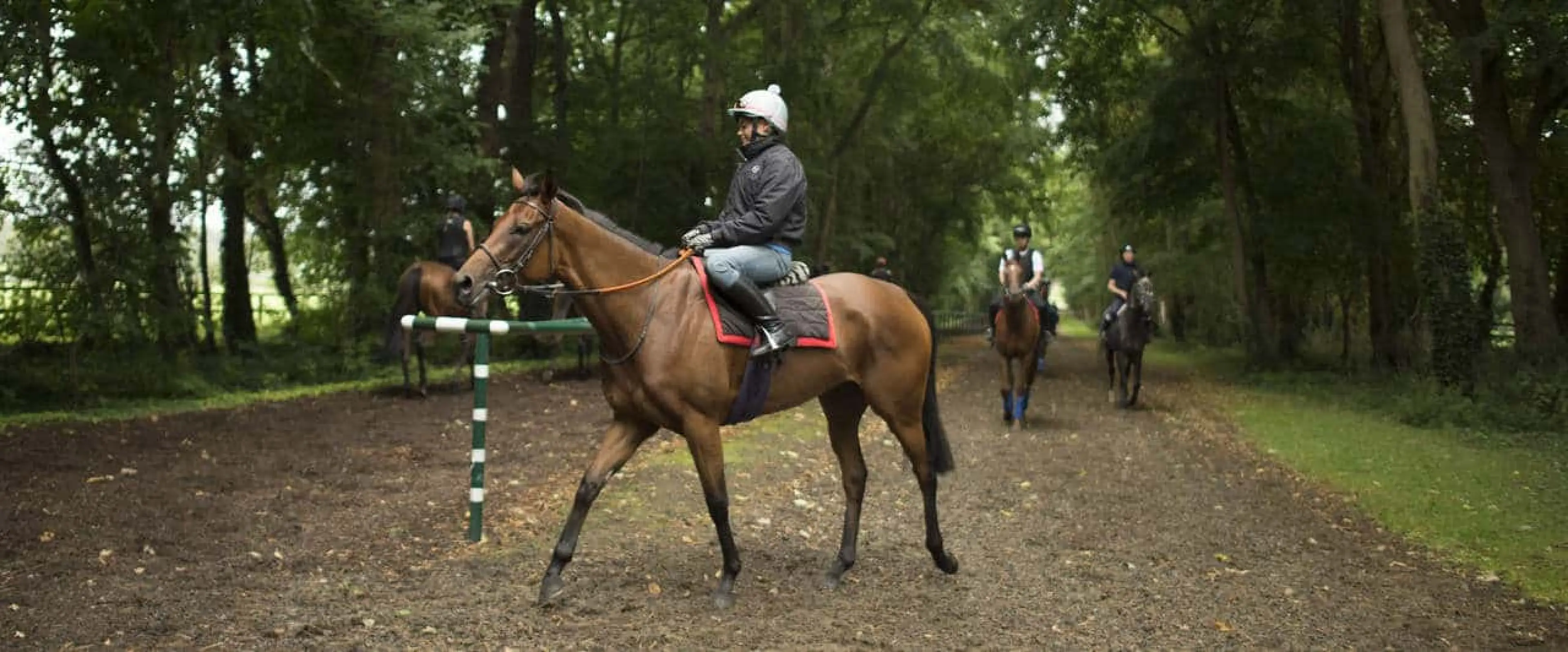 Arabian Queen features among Coral's Yarmouth top tips for September 14.