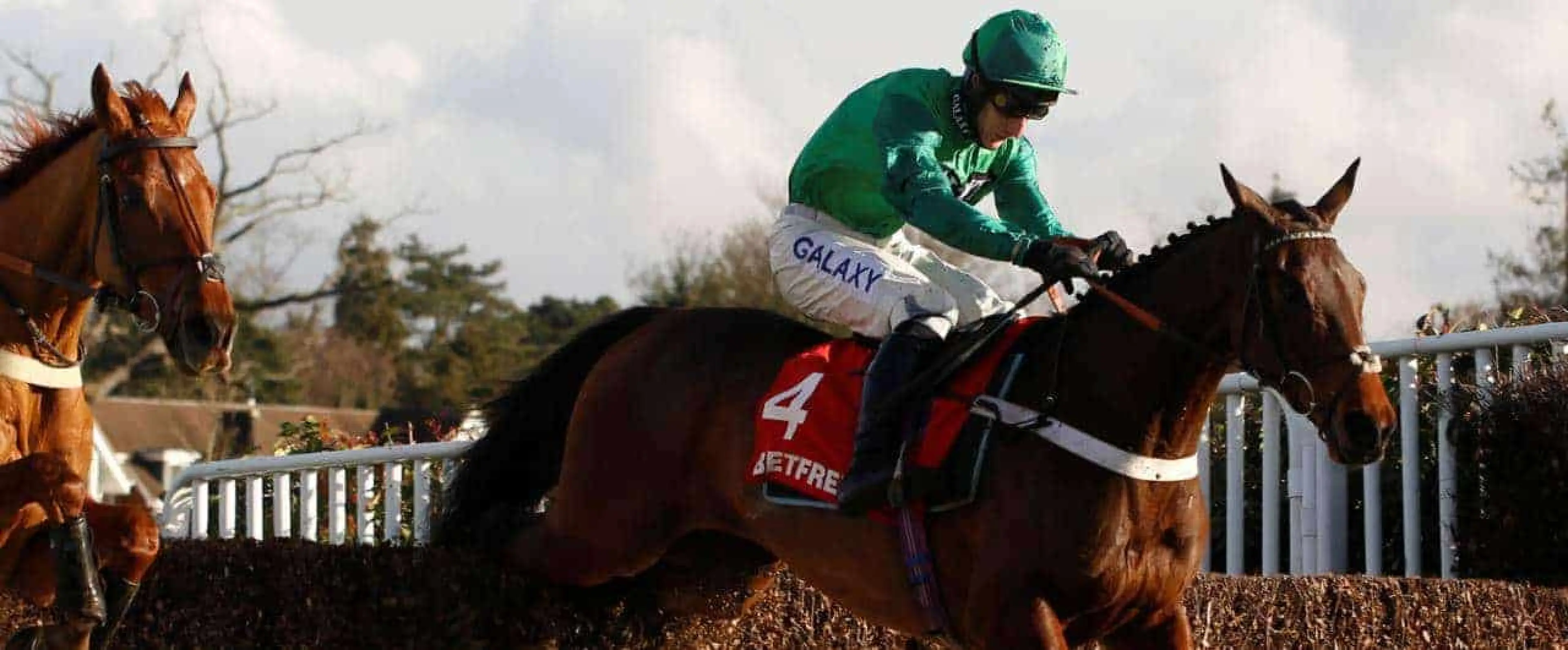Ascot Chase betting