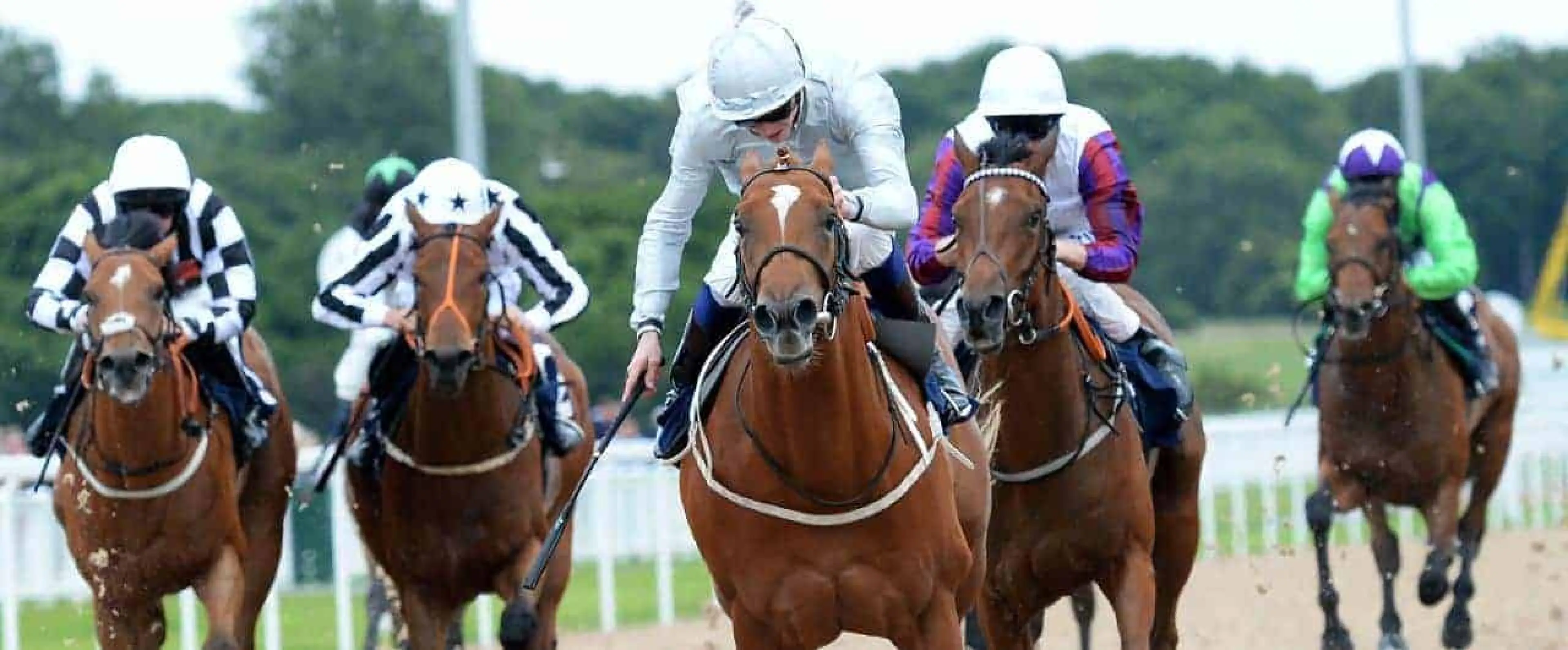 Northumberland Plate