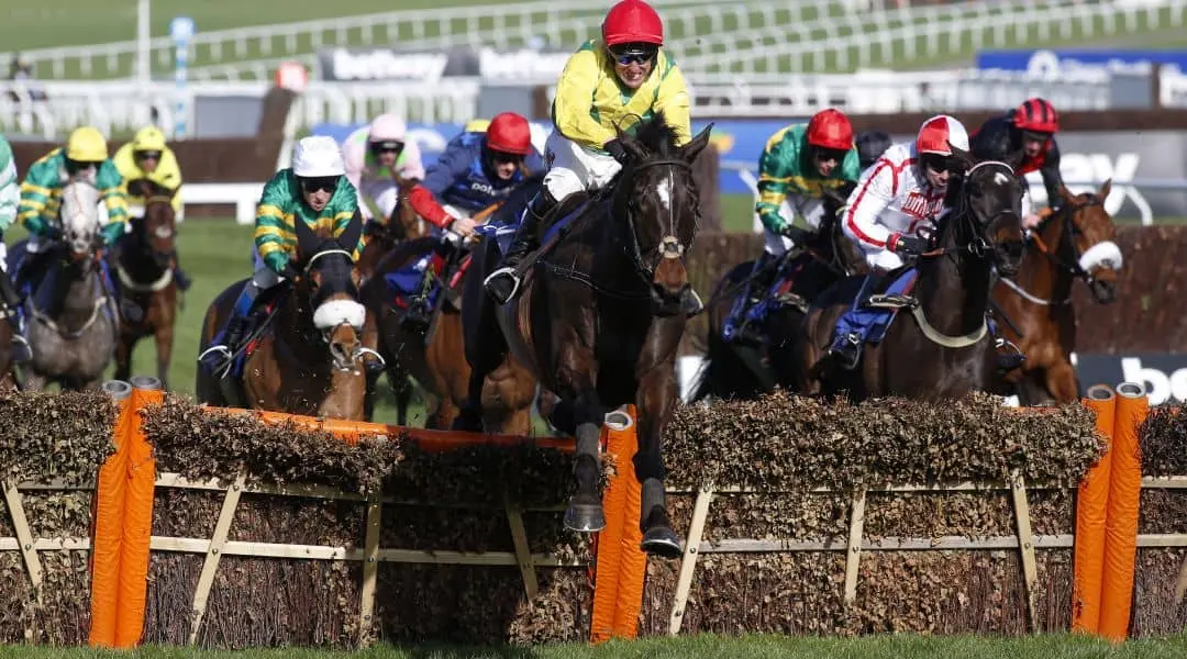 Cheltenham preview odds, Cheltenham racing odds, Sceau Royal odds