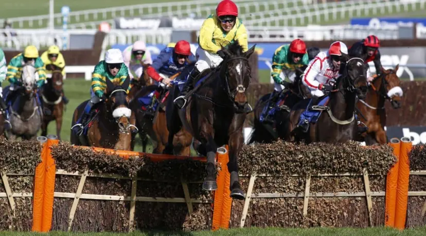 Cheltenham preview odds, Cheltenham racing odds, Sceau Royal odds