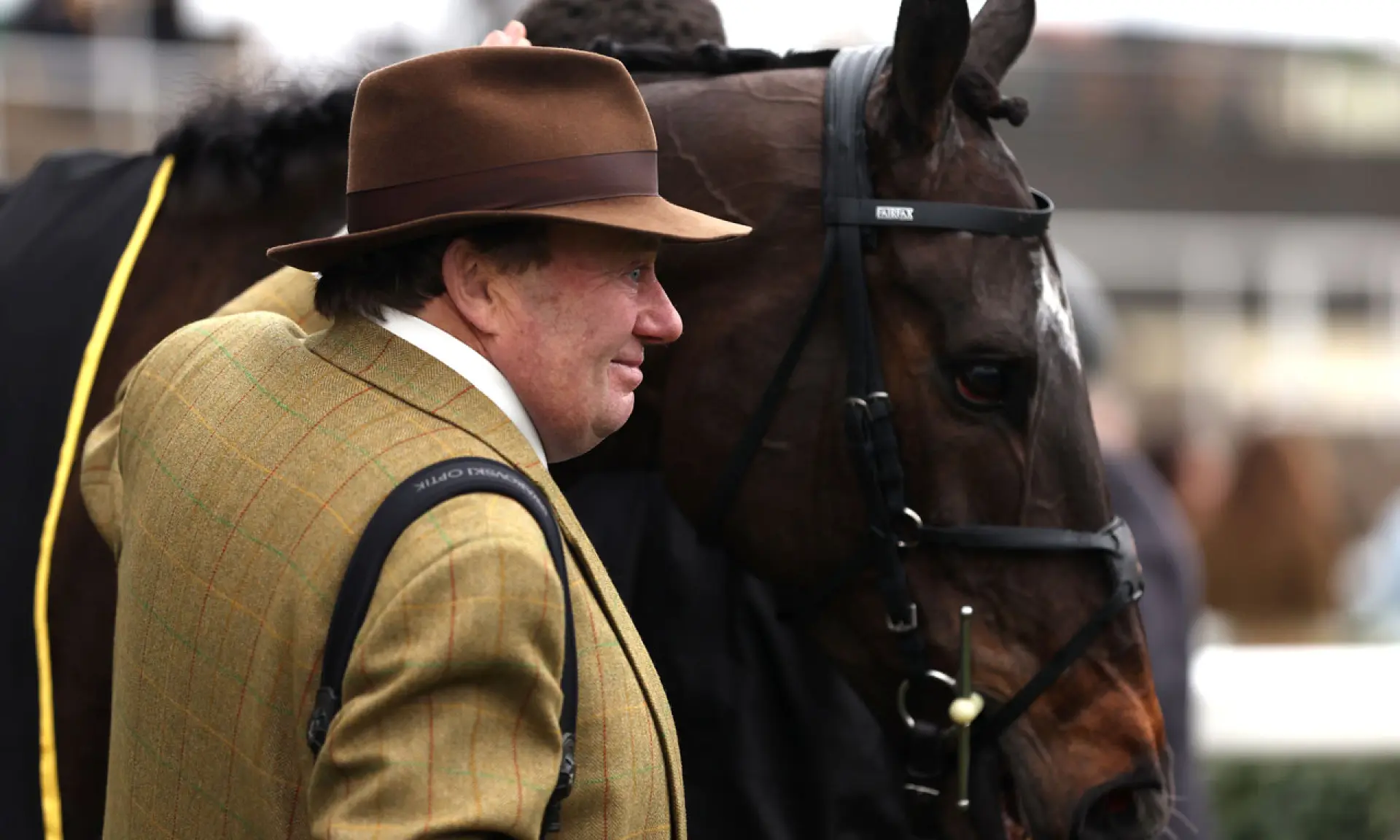 Nicky Henderson, Shishkin, Cheltenham Festival betting