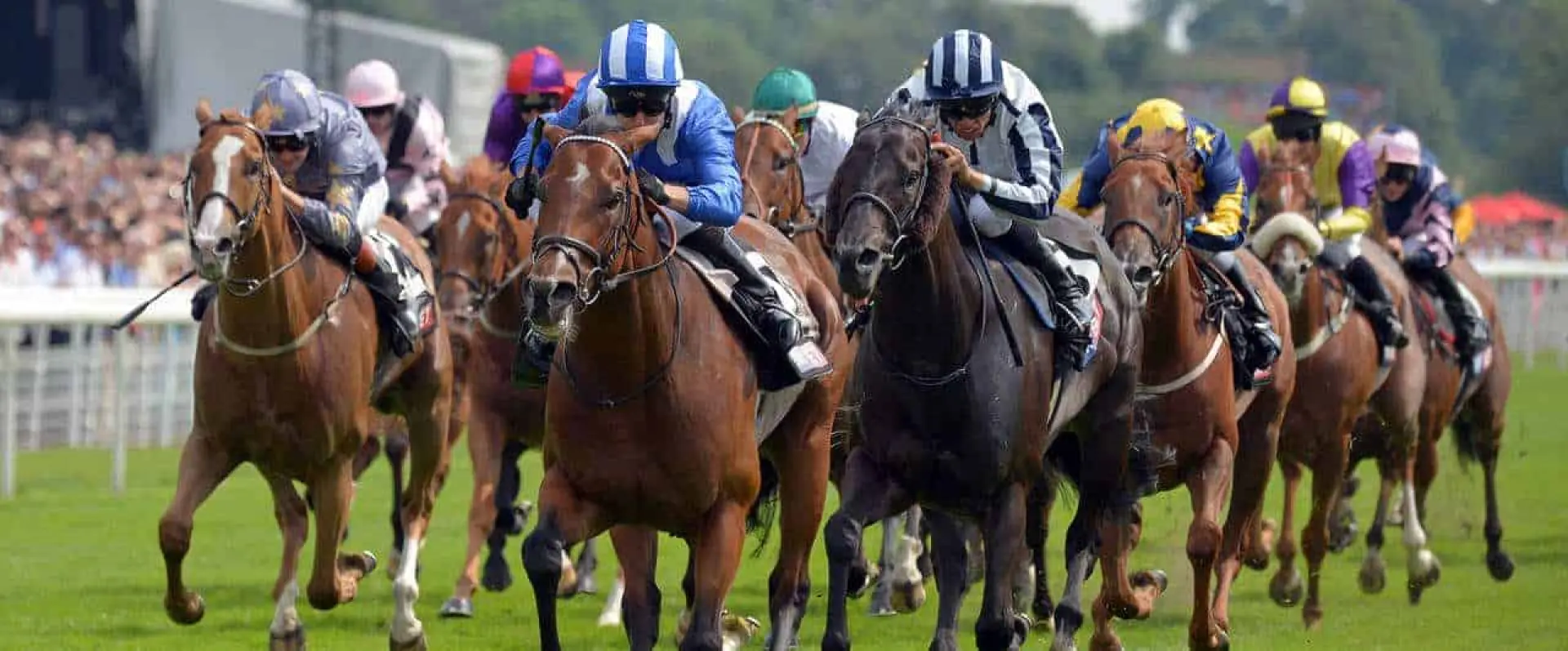 Muthmir odds to win the Bullet Sprint Stakes are among our best Beverley bets.