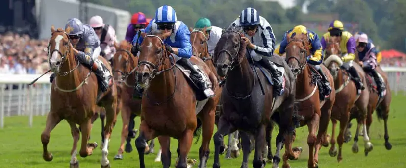 Muthmir odds to win the Bullet Sprint Stakes are among our best Beverley bets.