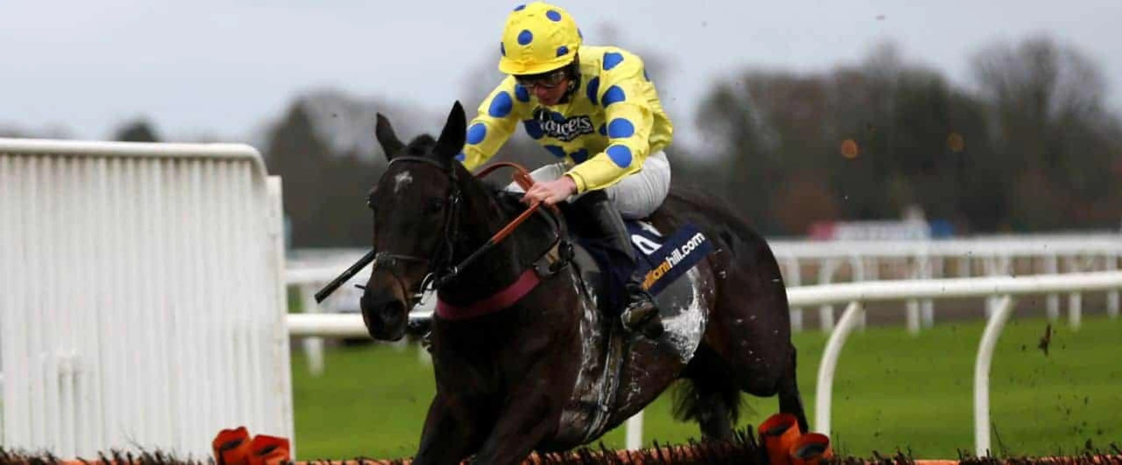 Grand National Trial winner Yala Enki