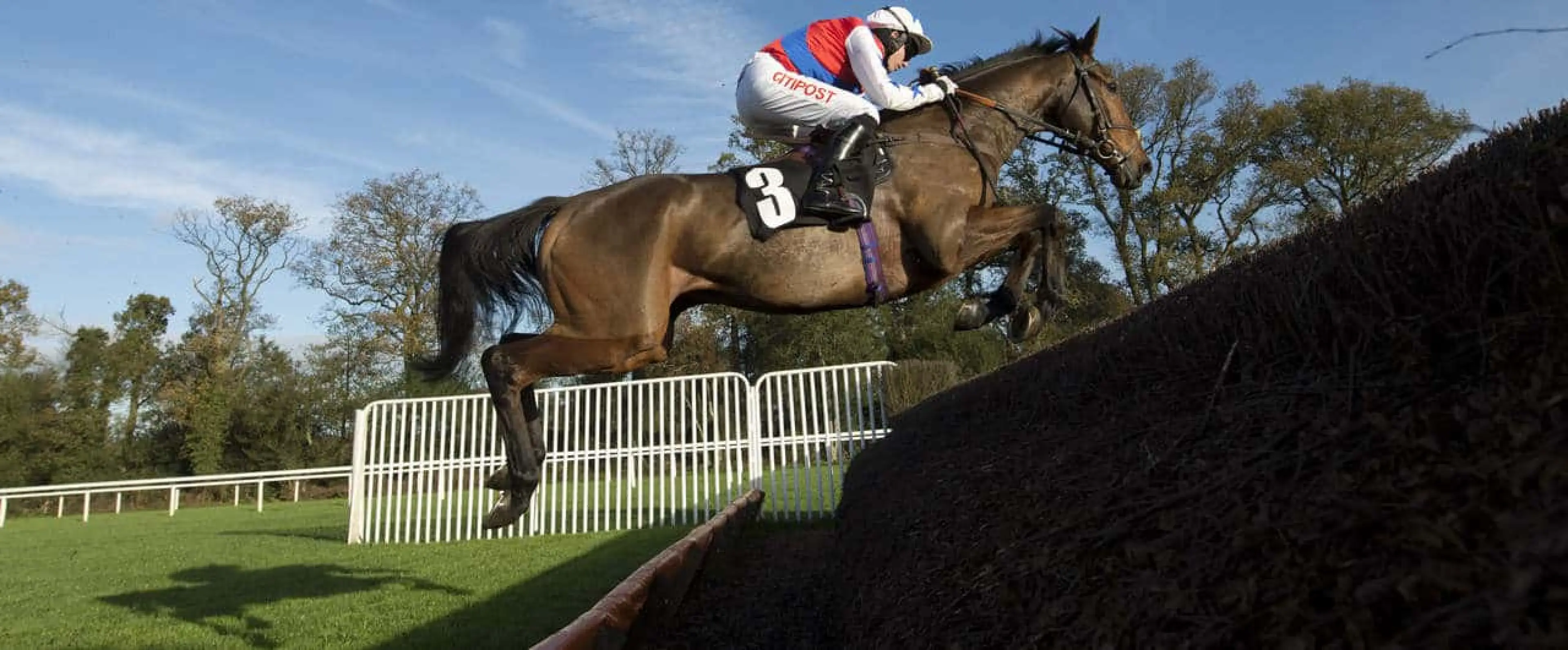 Thomas Brown each-way rates highly among 2016 Sodexo Gold Cup tips from Ascot, according to Coral experts.
