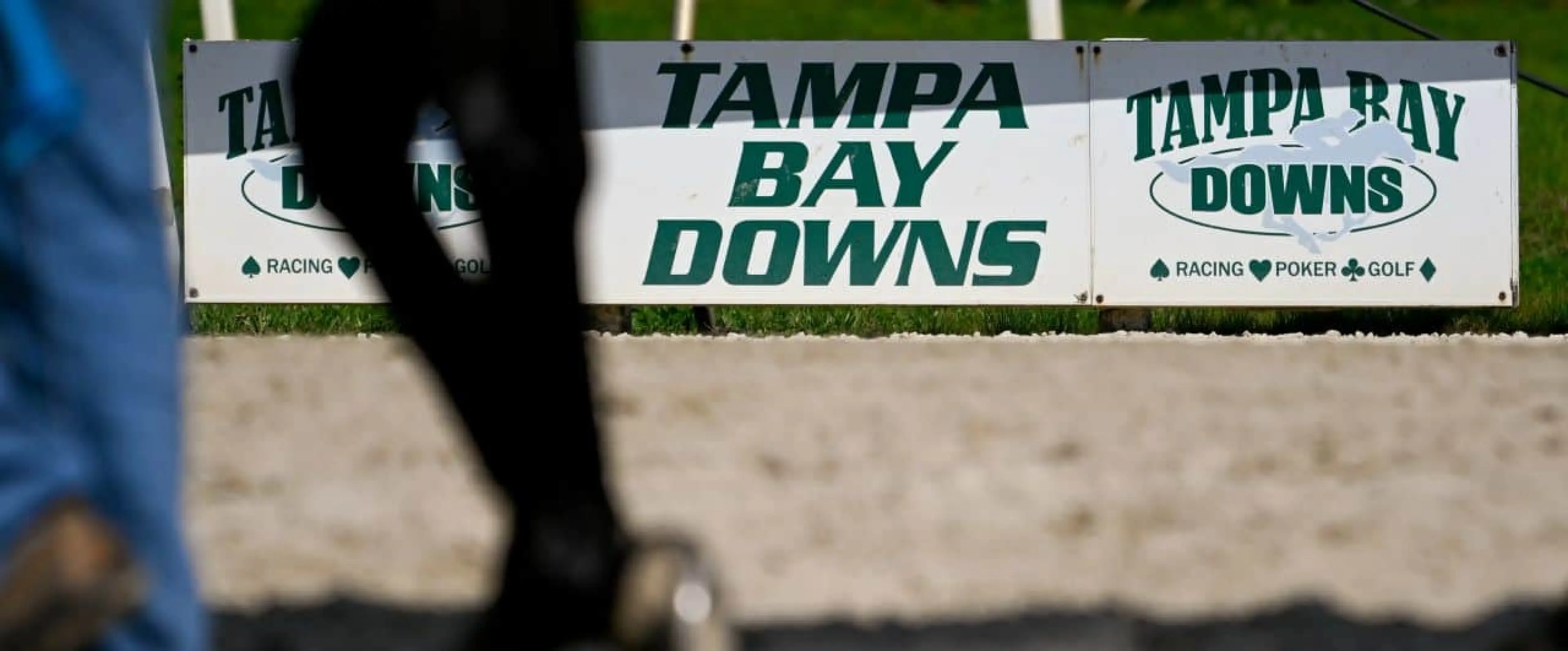US racing - Tampa Bay Downs