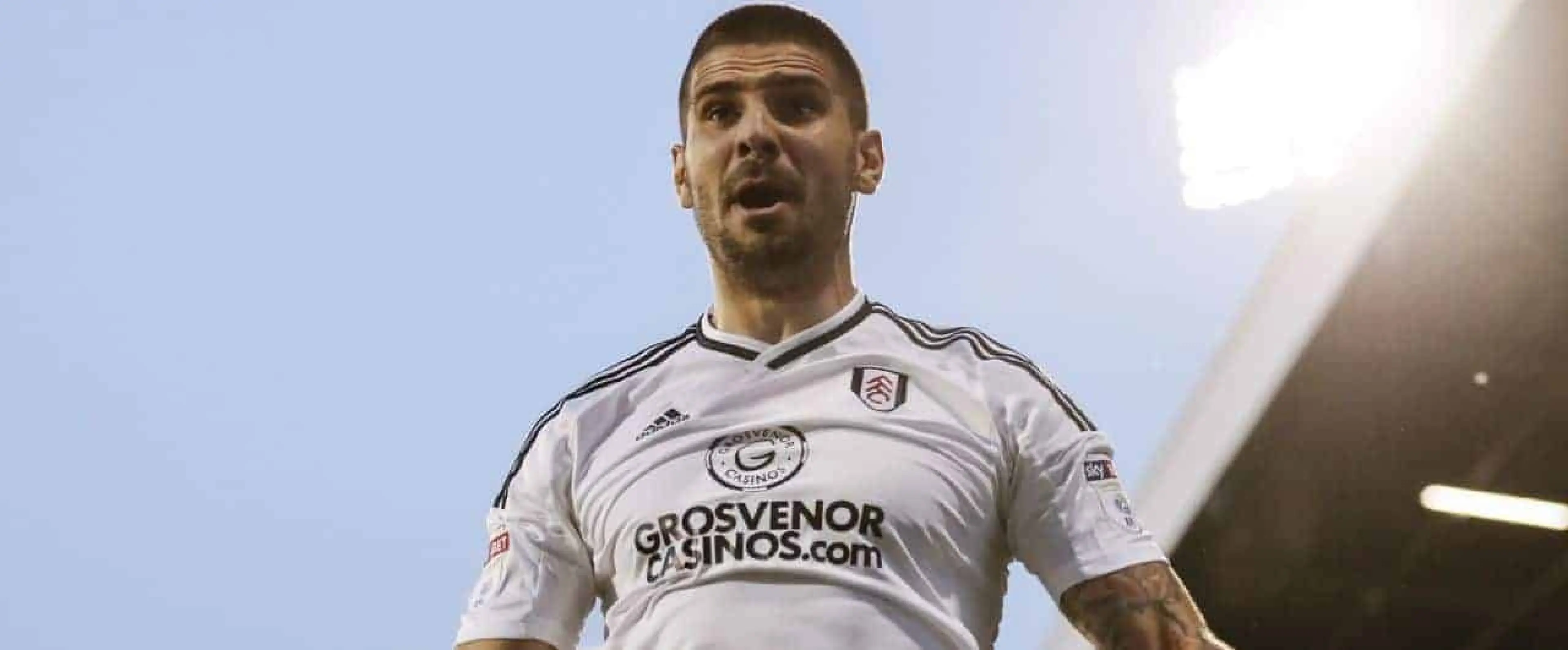 Aleksandar Mitrovic