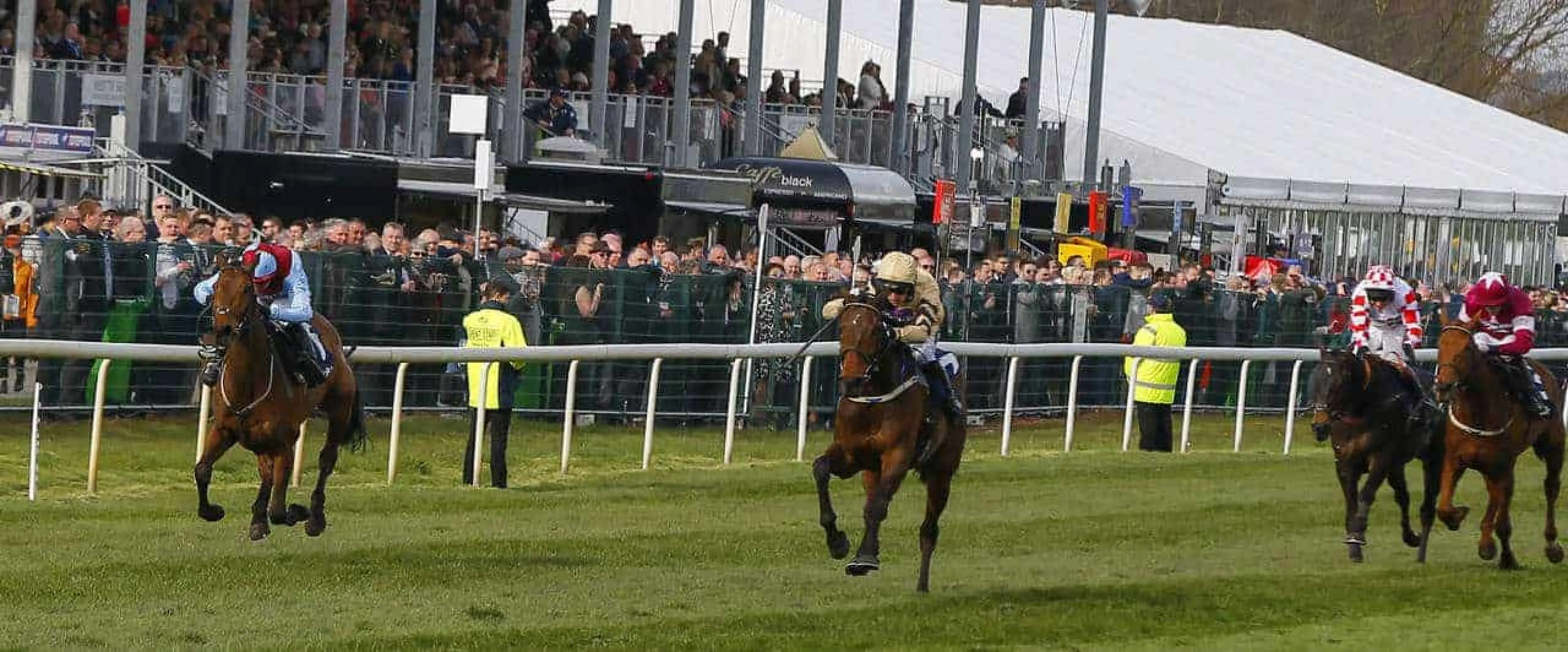 Newbury Long Distance Hurdle Tips November 25