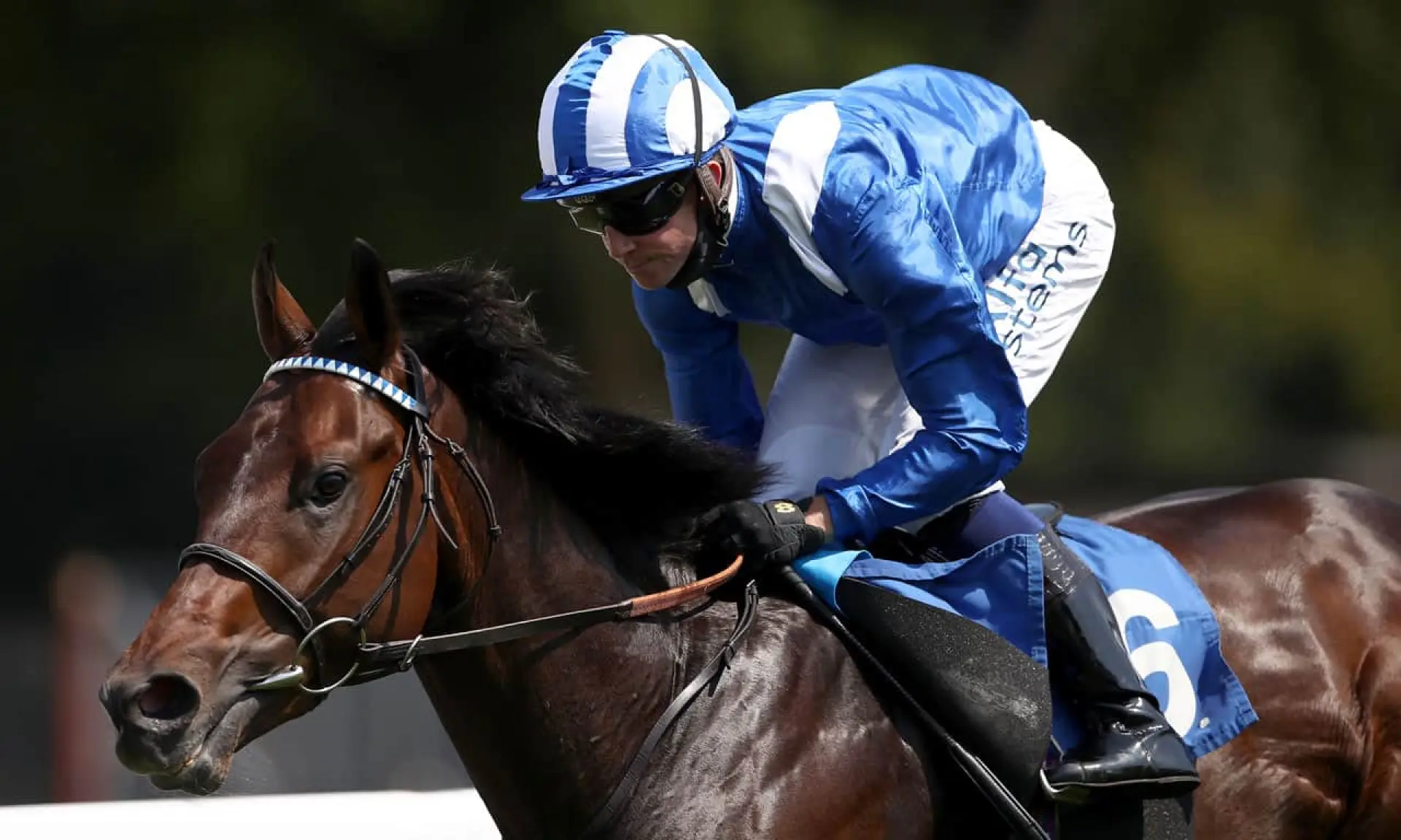 Jim Crowley, Minzaal, horse racing