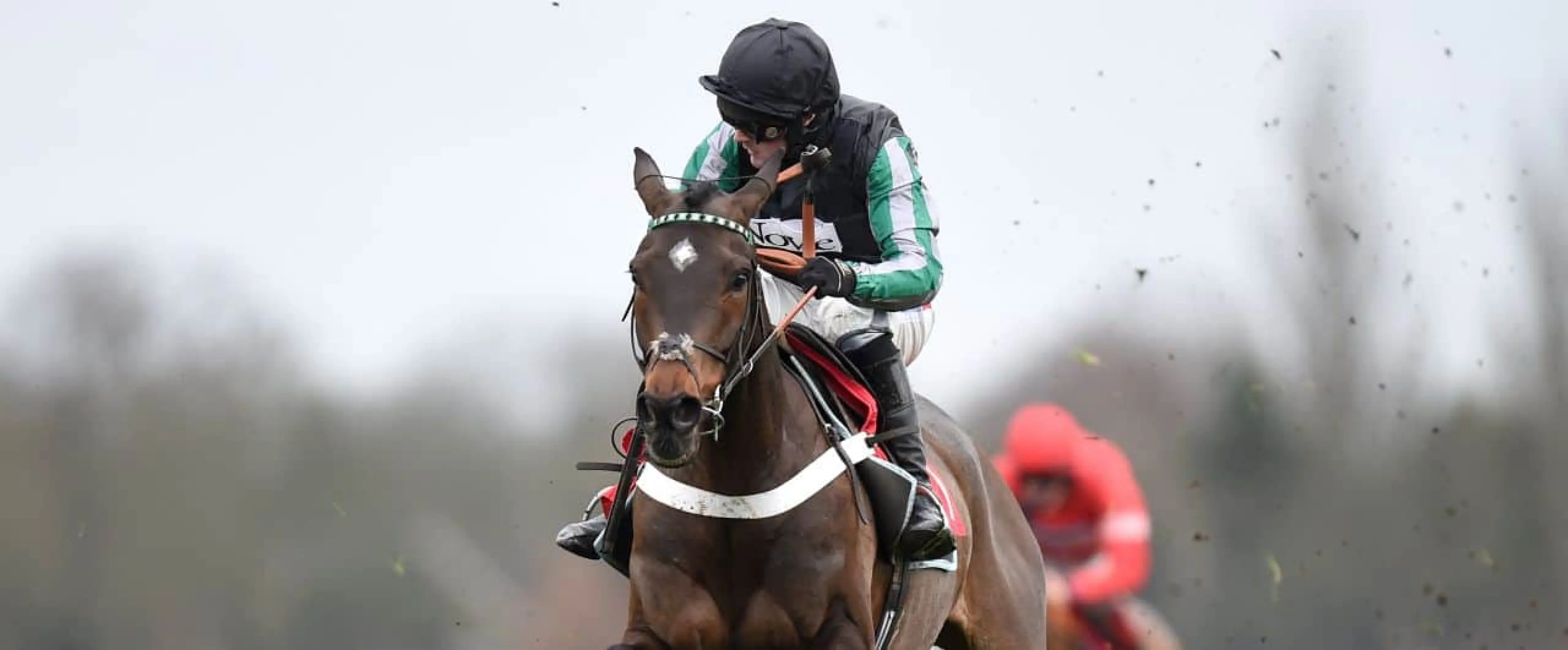 Altior odds