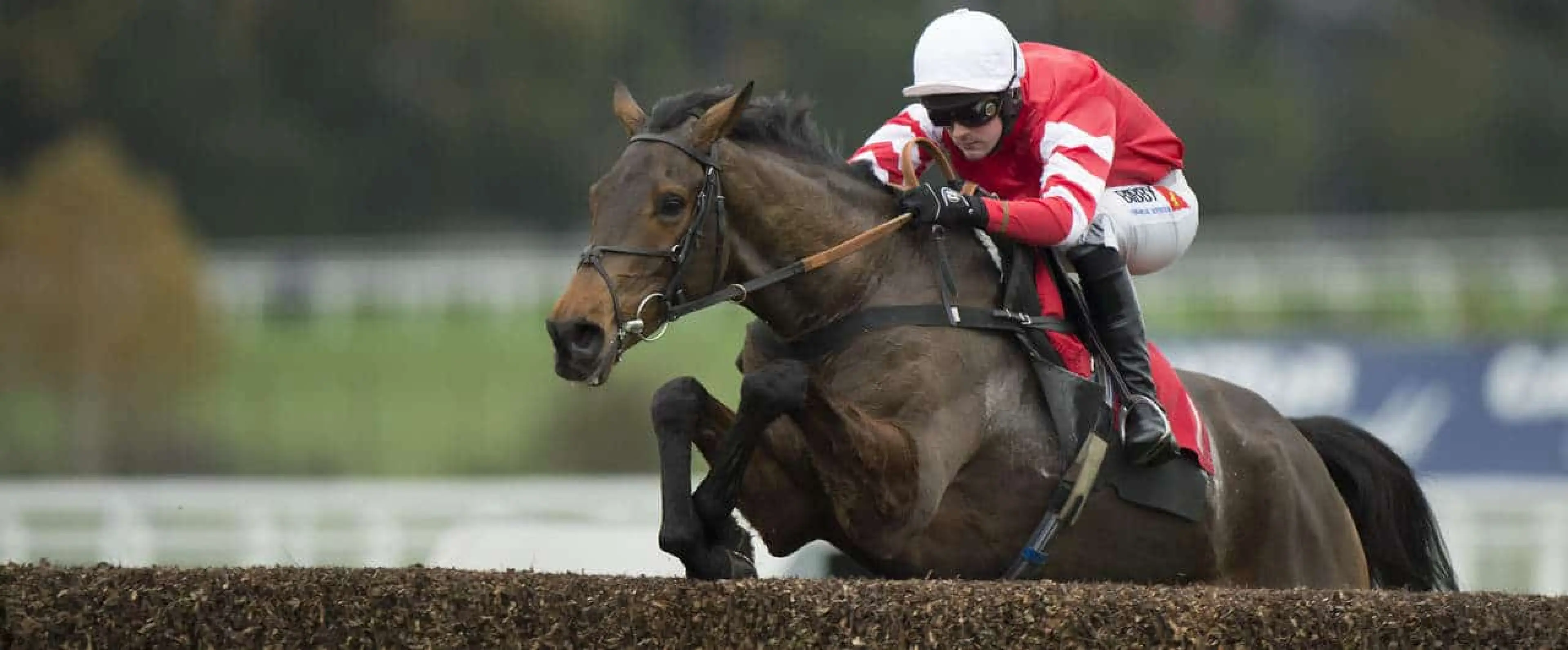 2016 Betfair Chase Tips