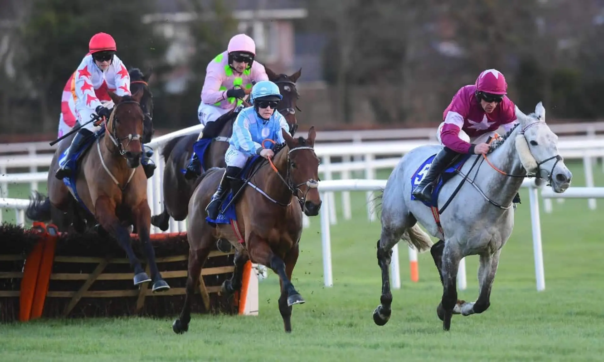 Honeysuckle, horse racing, Dublin Racing Festival