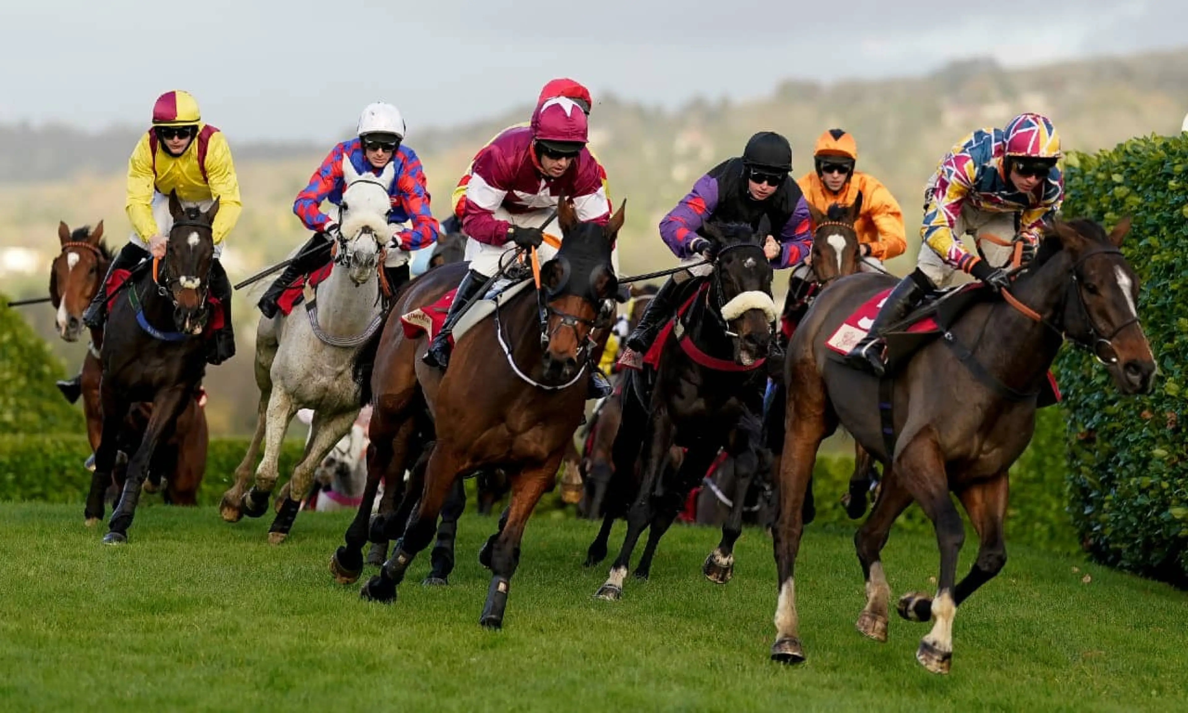 Cheltenham quiz answers, horse racing