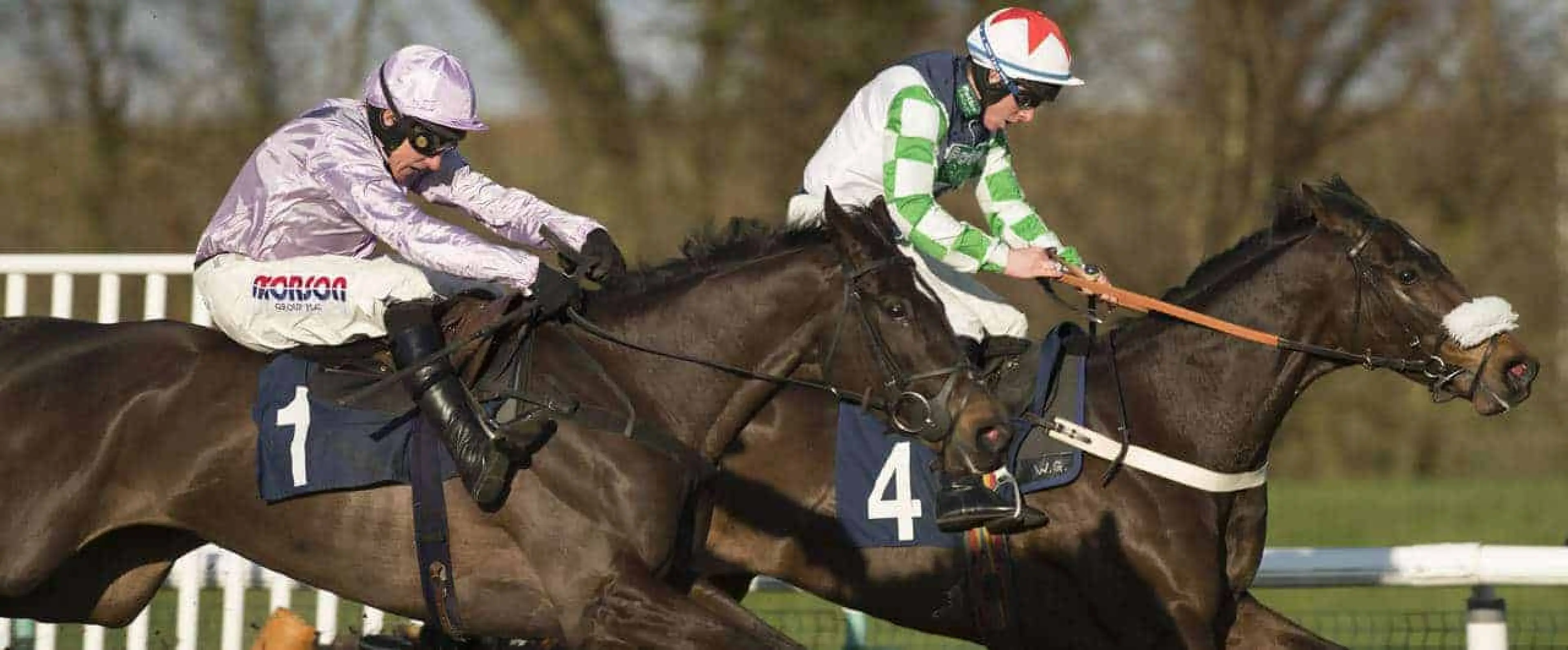 Greatwood Handicap Hurdle tips