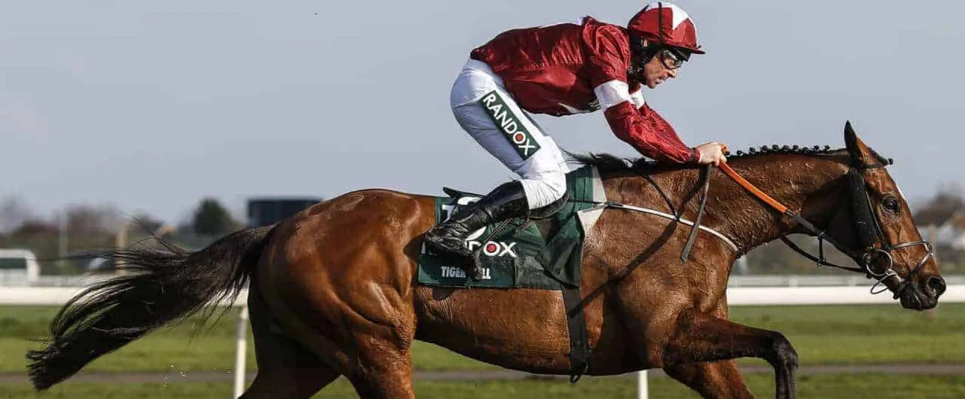 tiger roll grand national 2019 favorite