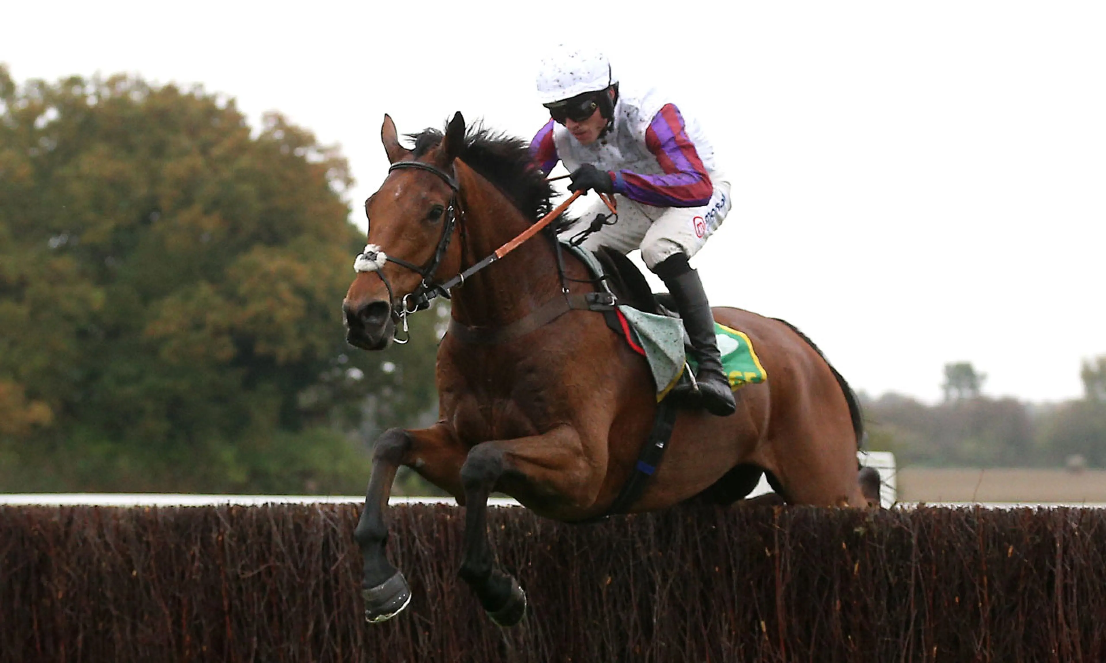 Bravemansgame, ante post betting, horse racing