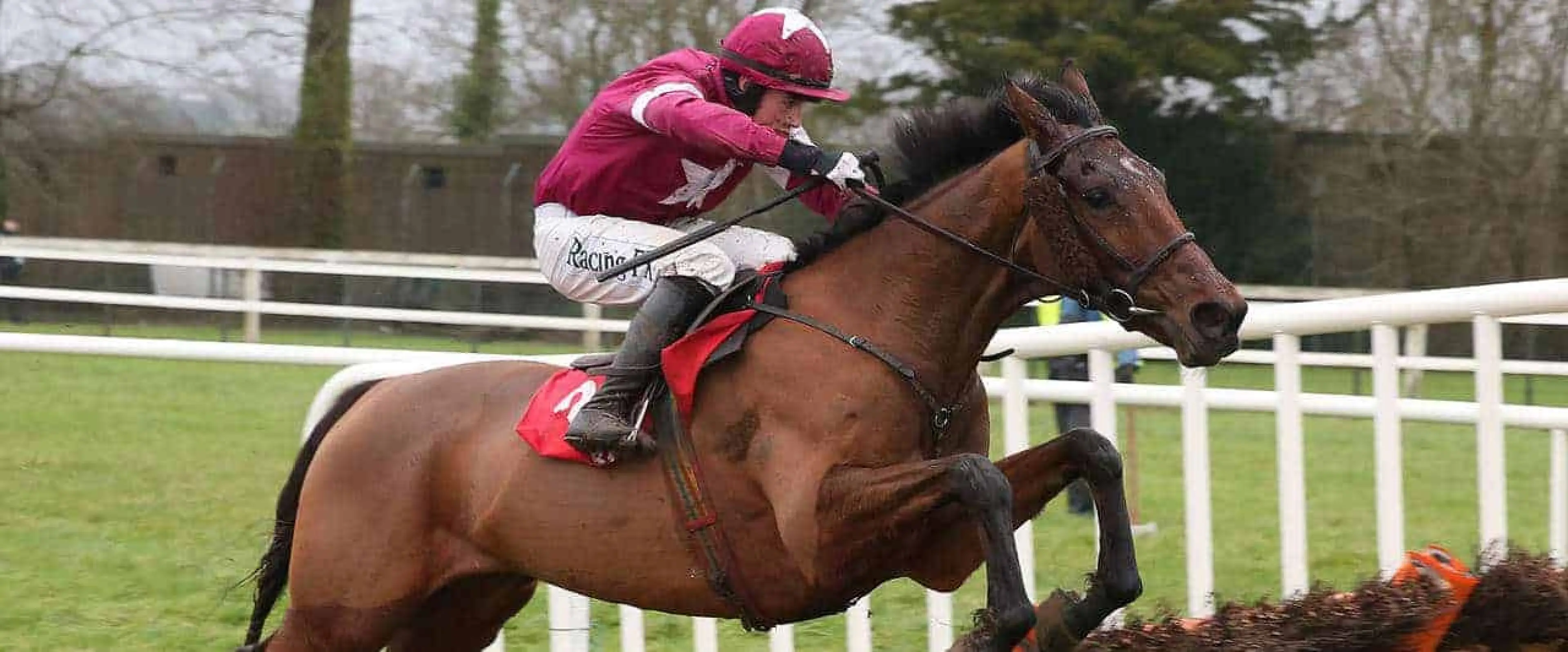 Leopardstown Festival Day 4 Tips