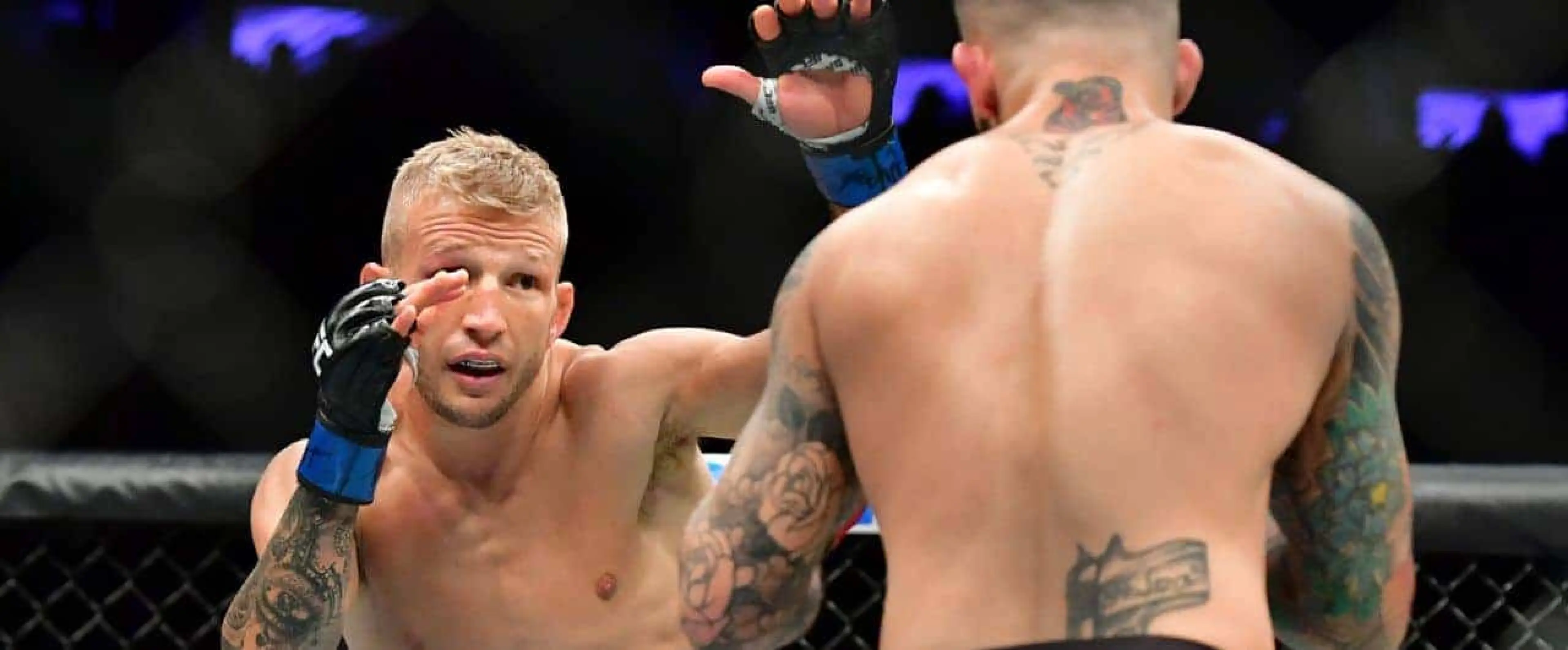 TJ Dillashaw