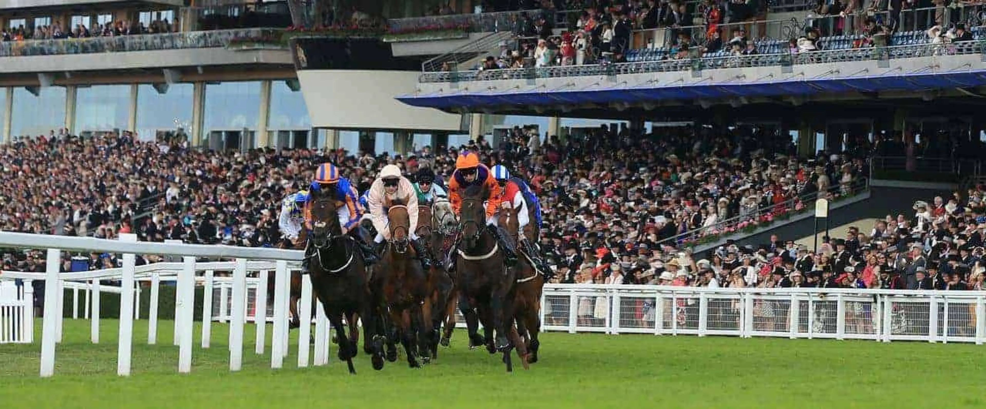 Ascot
