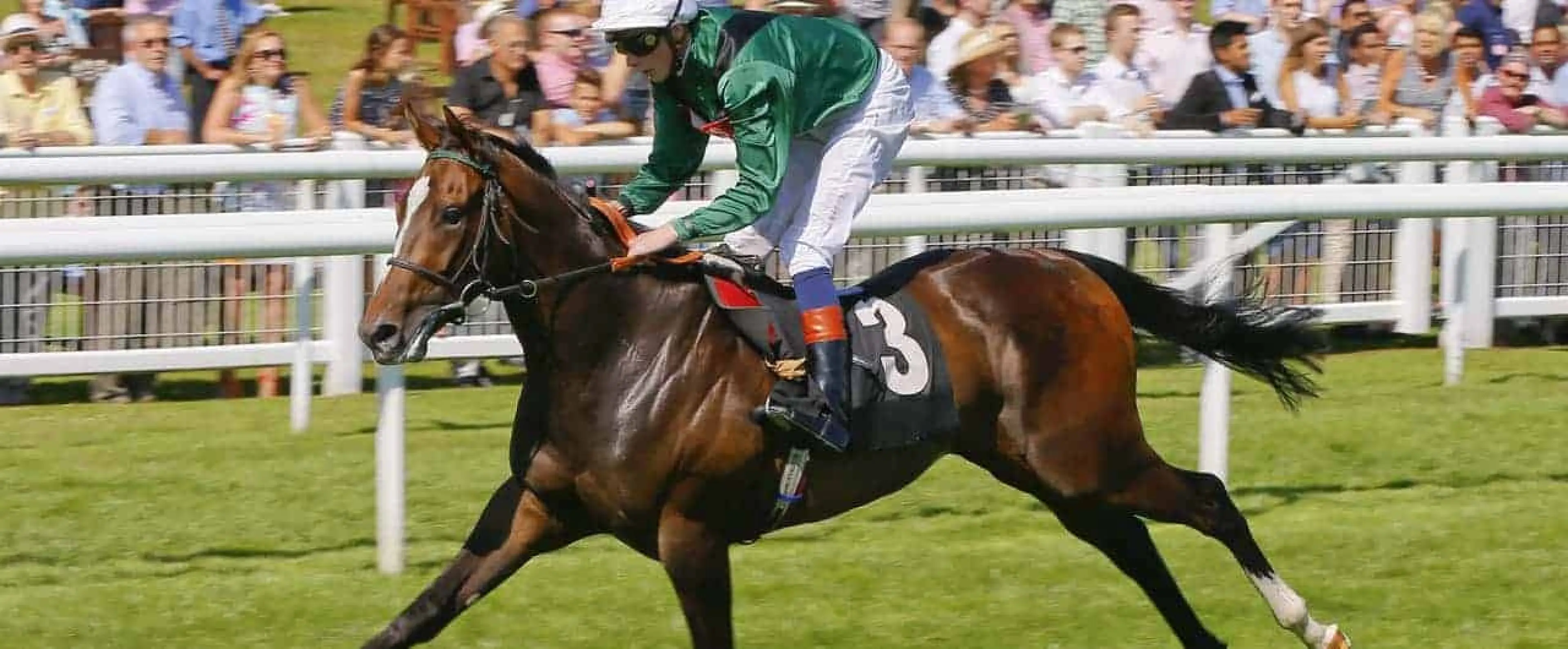 Limato Royal Ascot