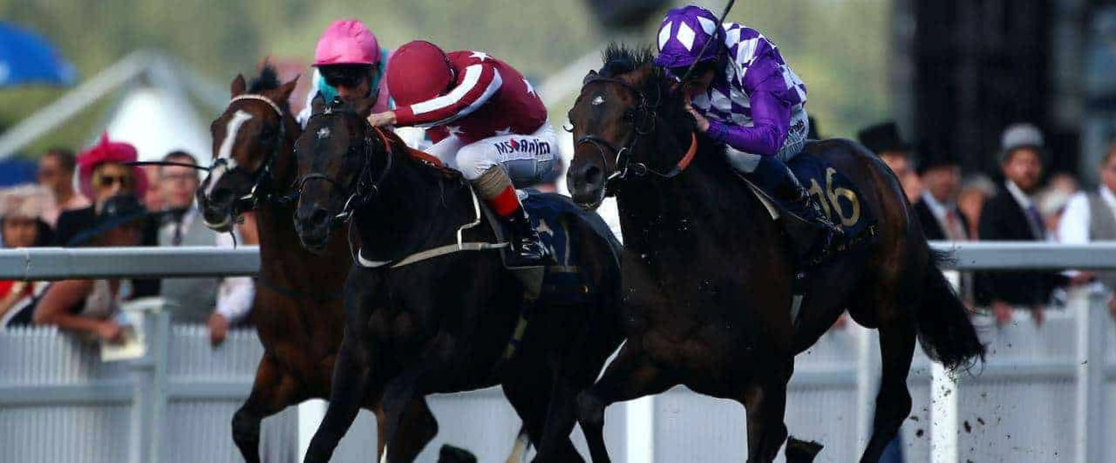Royal Ascot day 3 tips