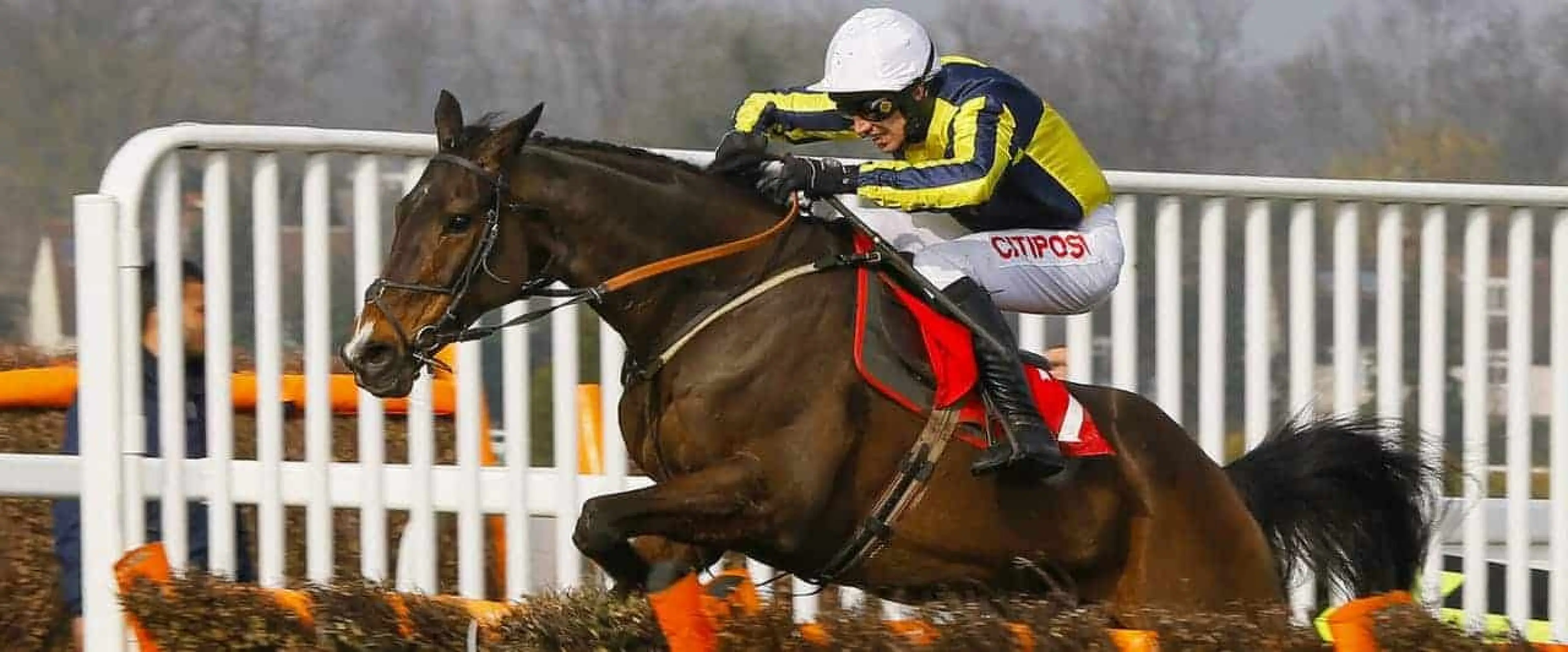 Barney Dwan bets join One Track Mind odds and Giveitachance each-way among Catterick and Wincanton tips for December 13.