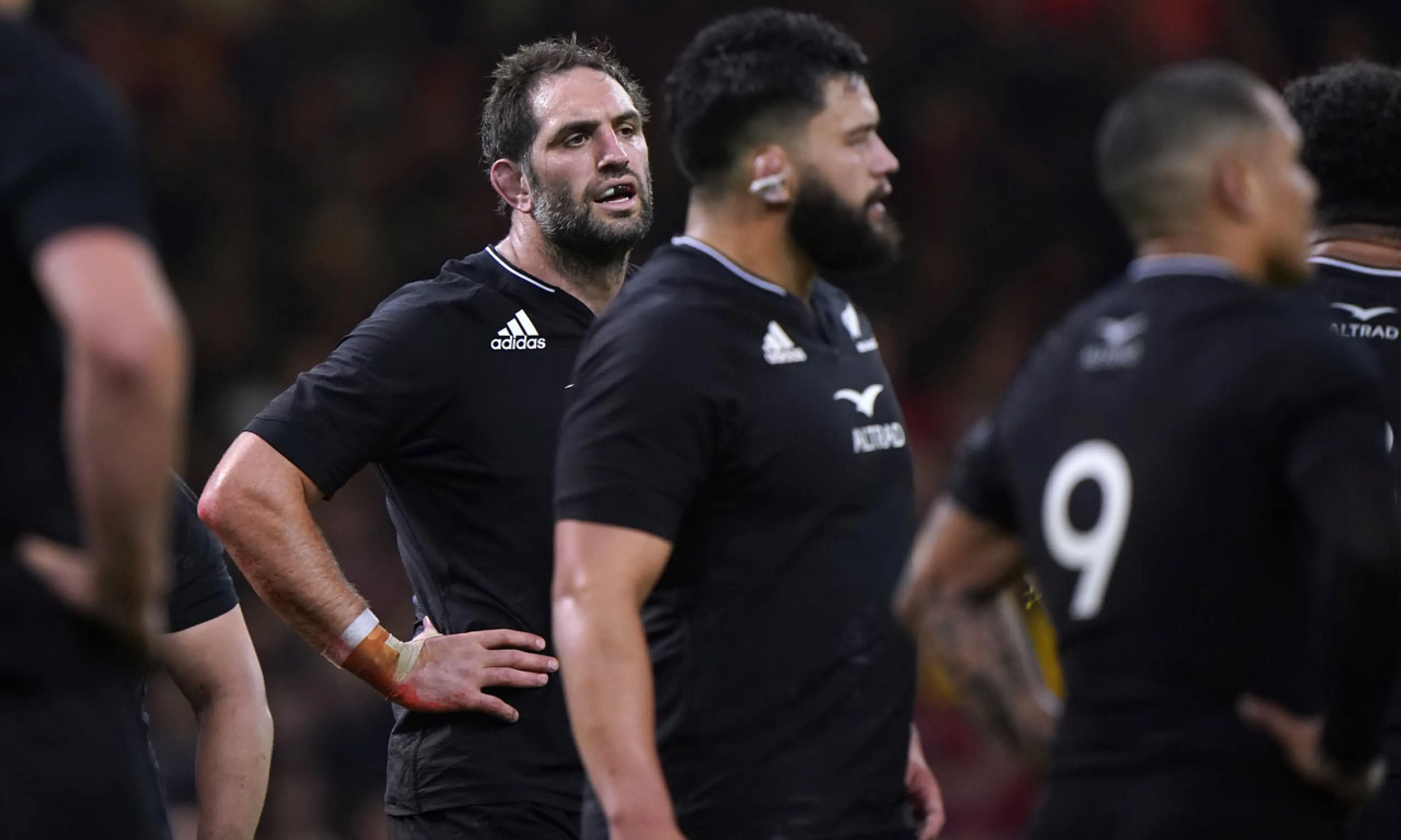 England v New Zealand betting odds, rugby union