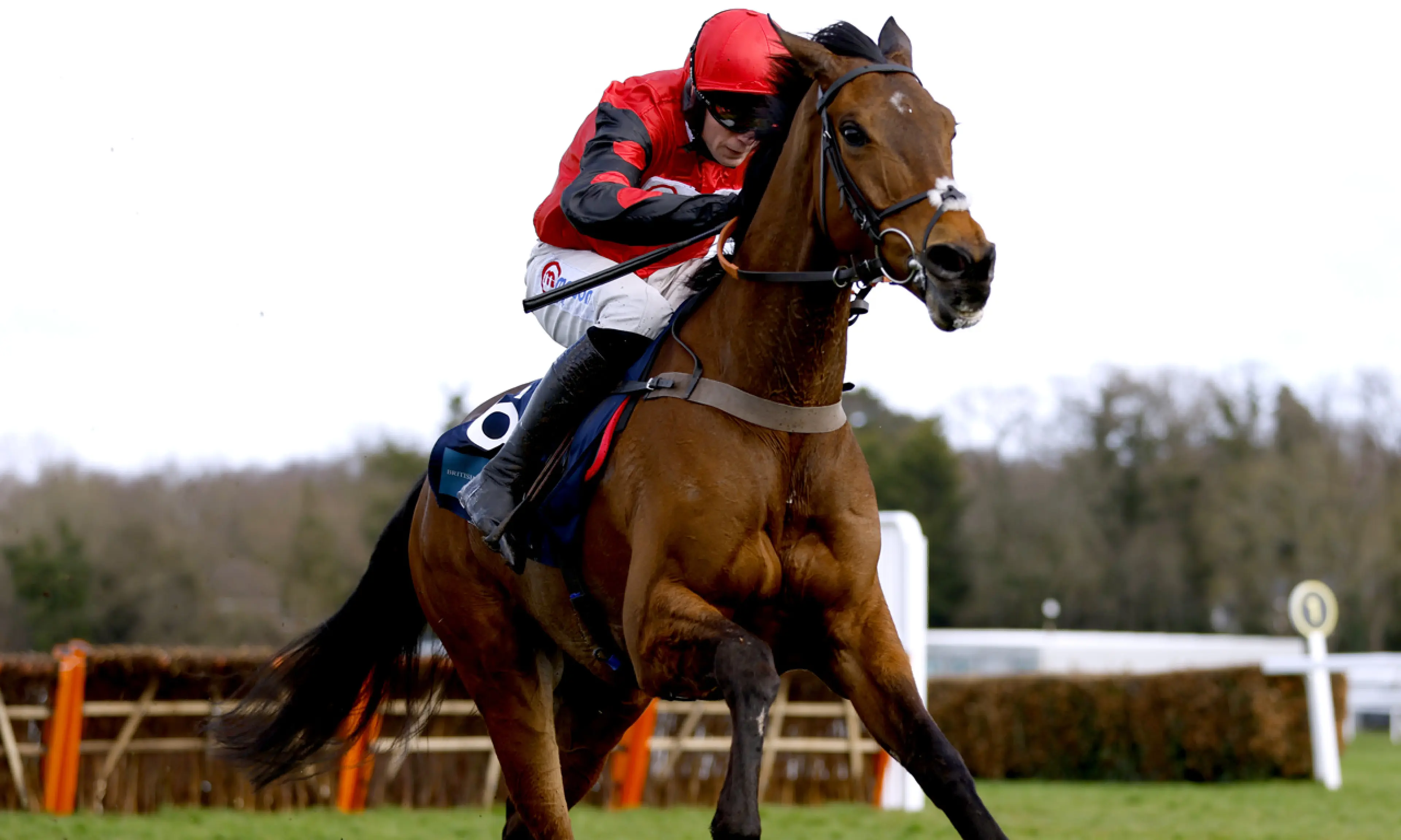 Complete Unknown, Coral Gold Cup, Newbury