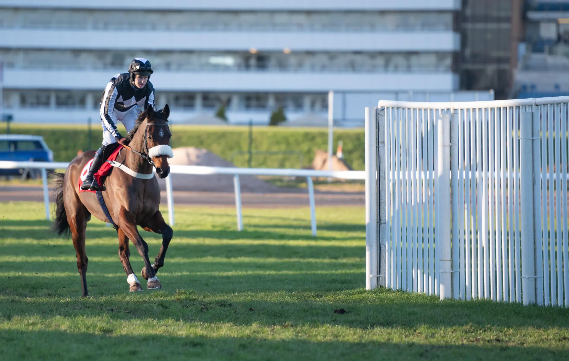 The Changing Man and Brendan Powell head to the start of the Great Yorkshire Chase