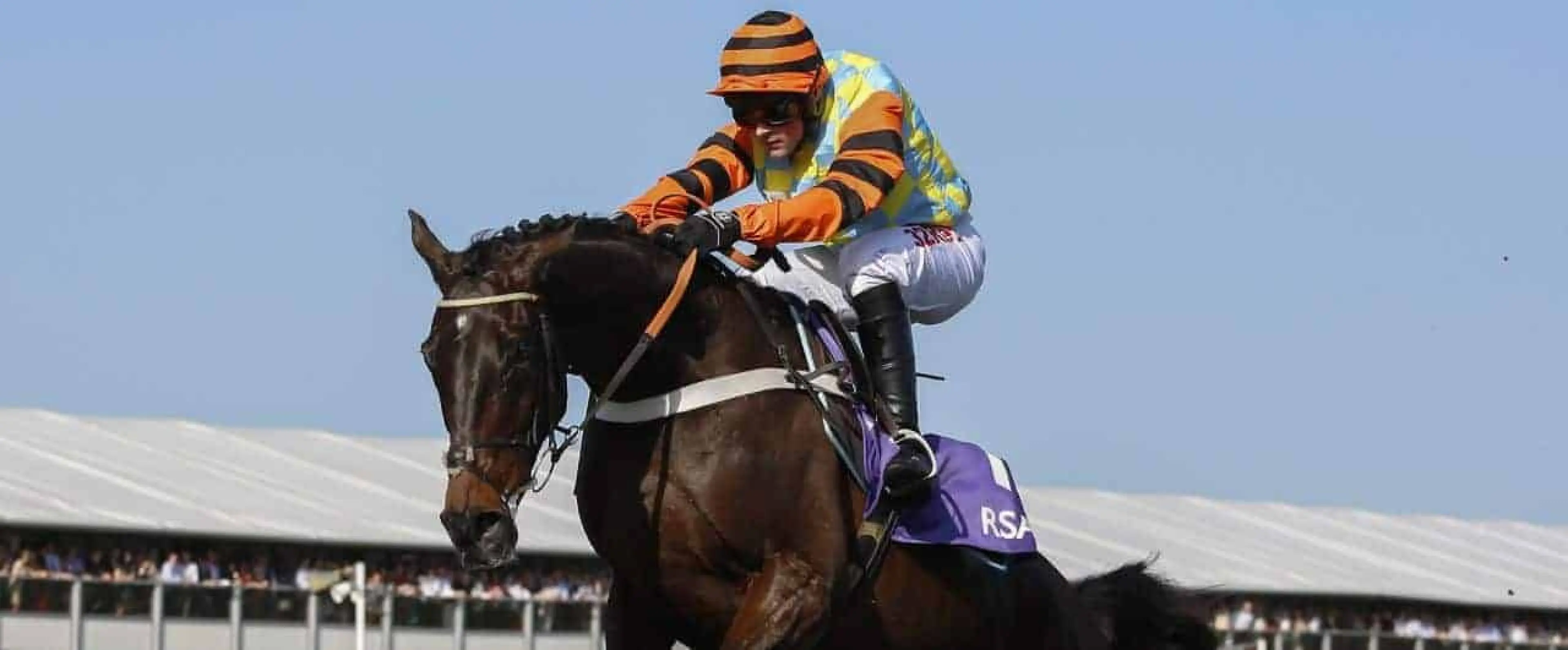 Might Bite odds, King George odds, Horse Racing odds