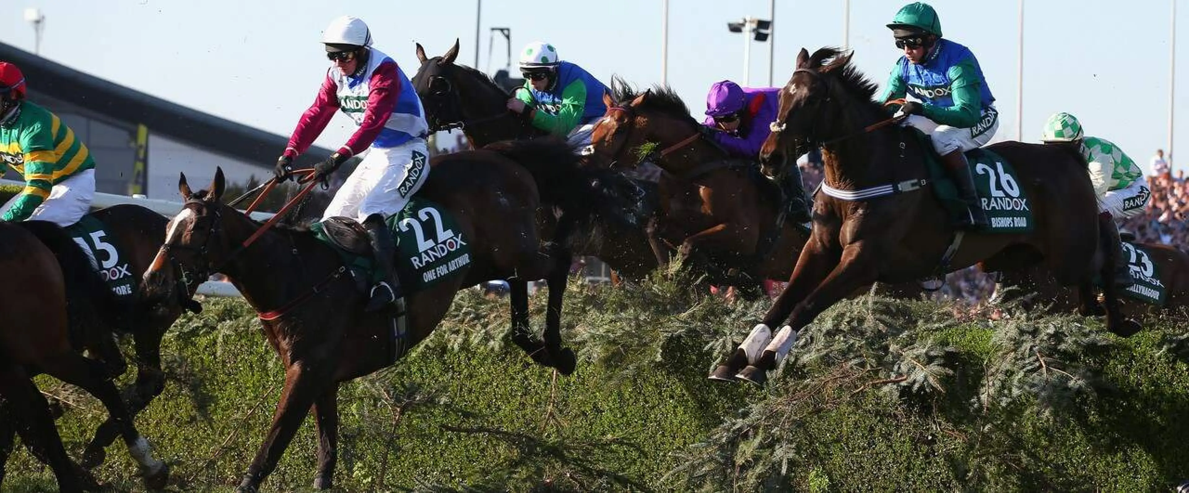 Grand National 2019 Runner Profile