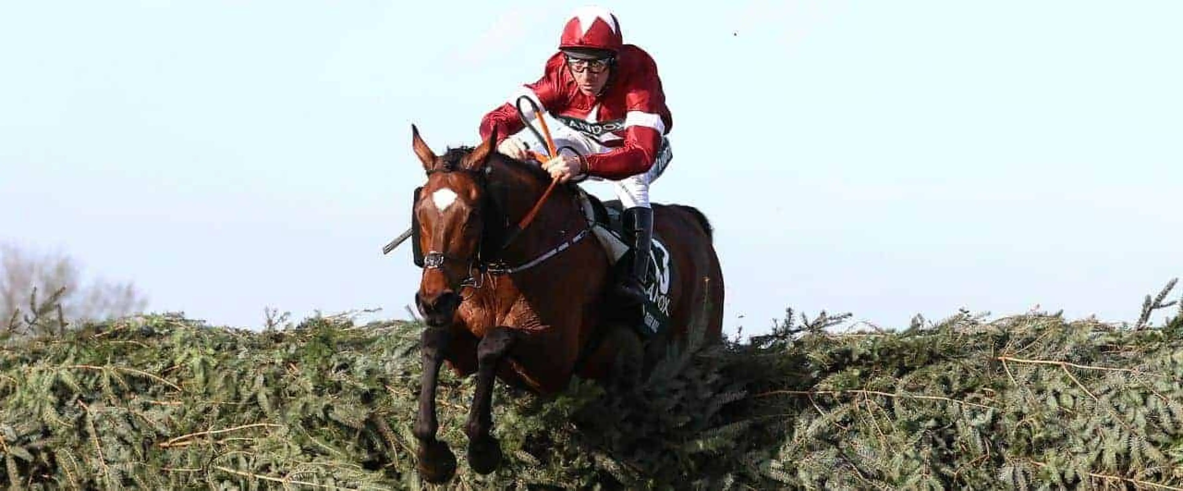 Tiger Roll