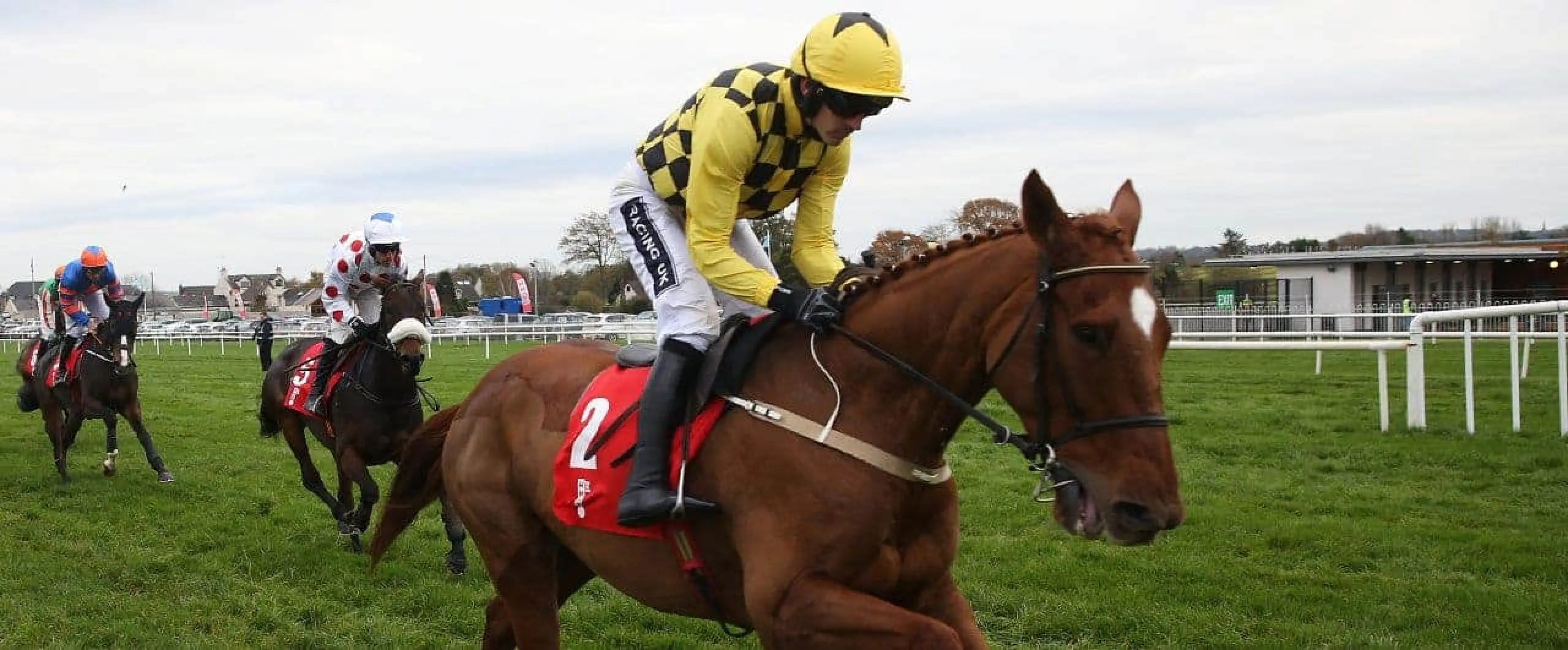 Horse Racing odds