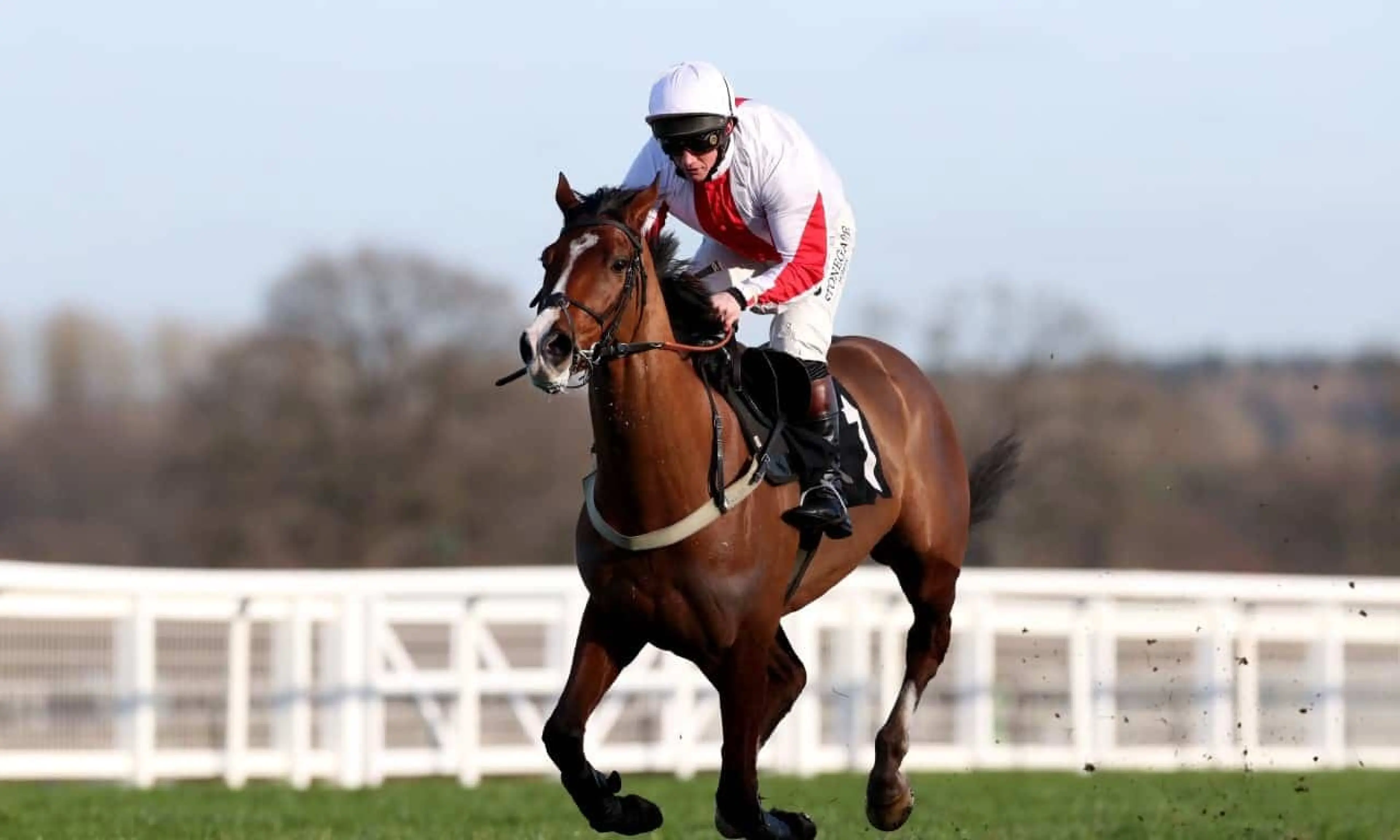 Goshen Coral Hurdle