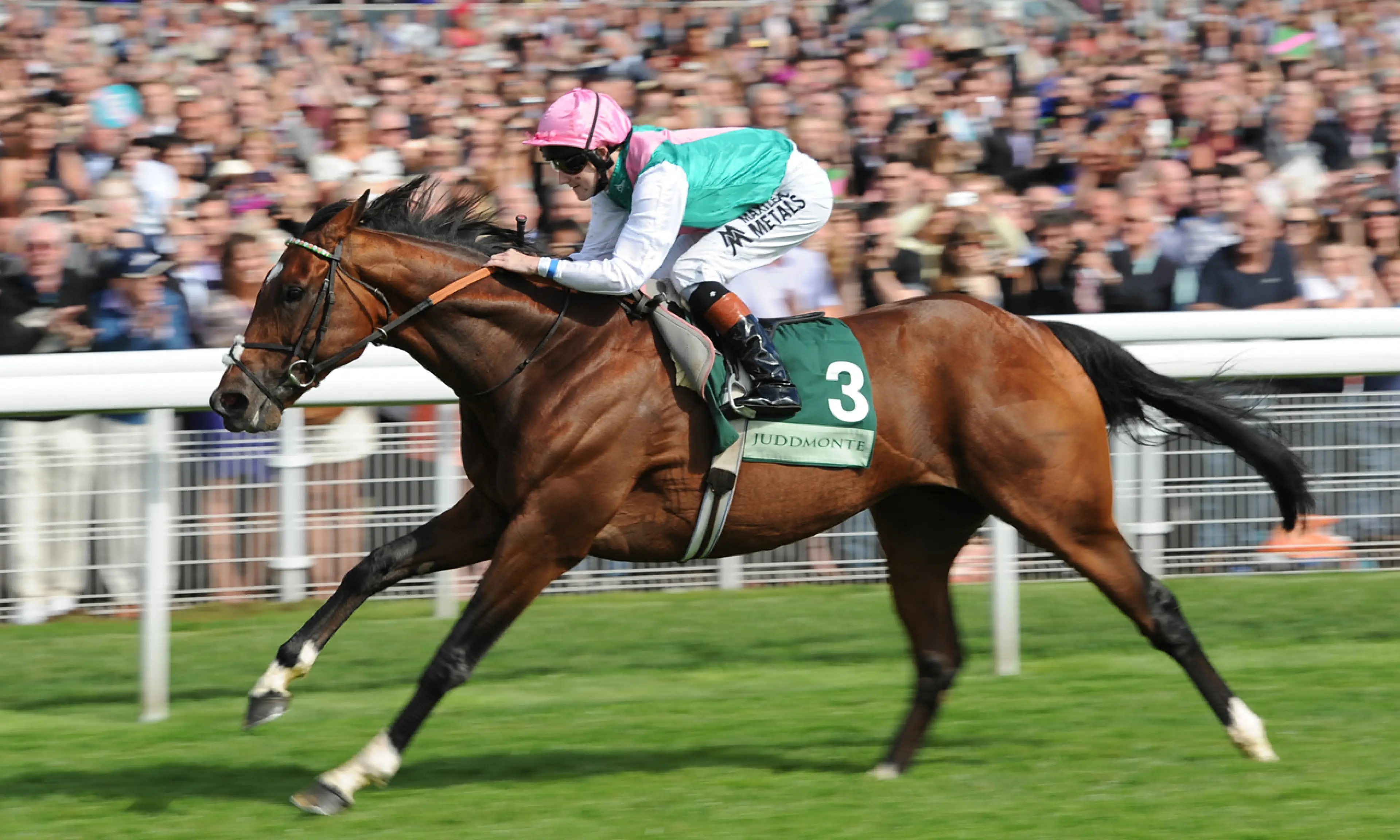 Juddmonte International past winners, horse racing, Frankel