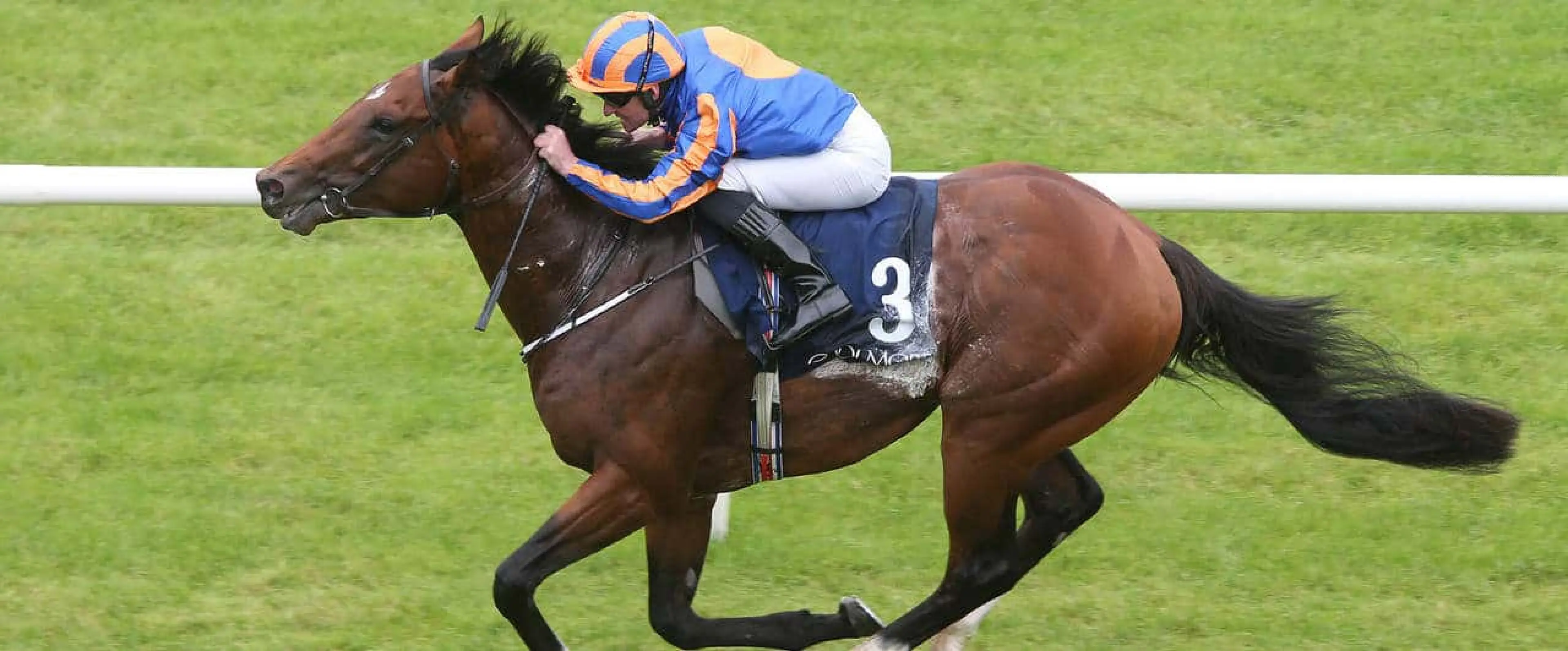 Churchill bets are among Curragh tips for September 11 alongside Rhododendron odds on Irish Champions Weekend.