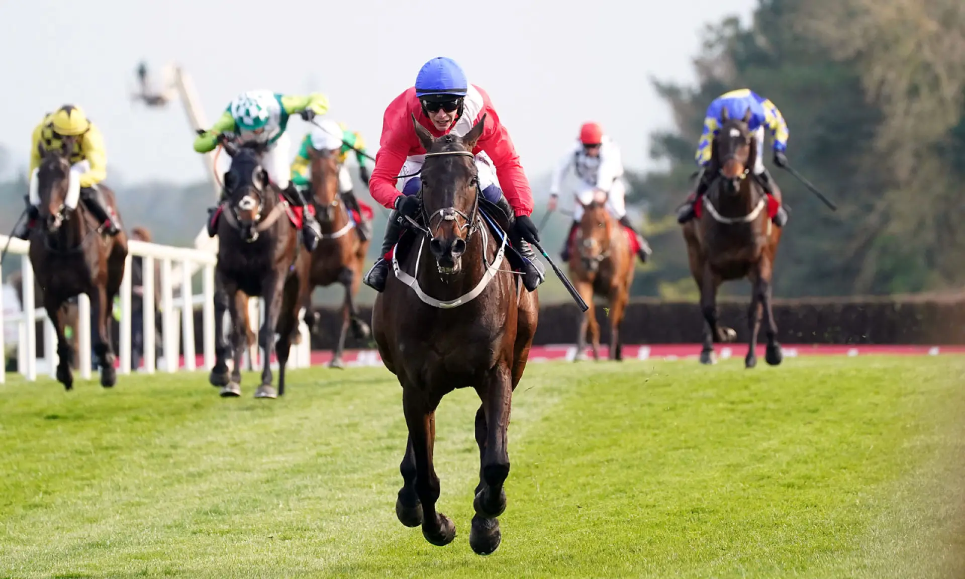 King George VI Chase betting, horse racing