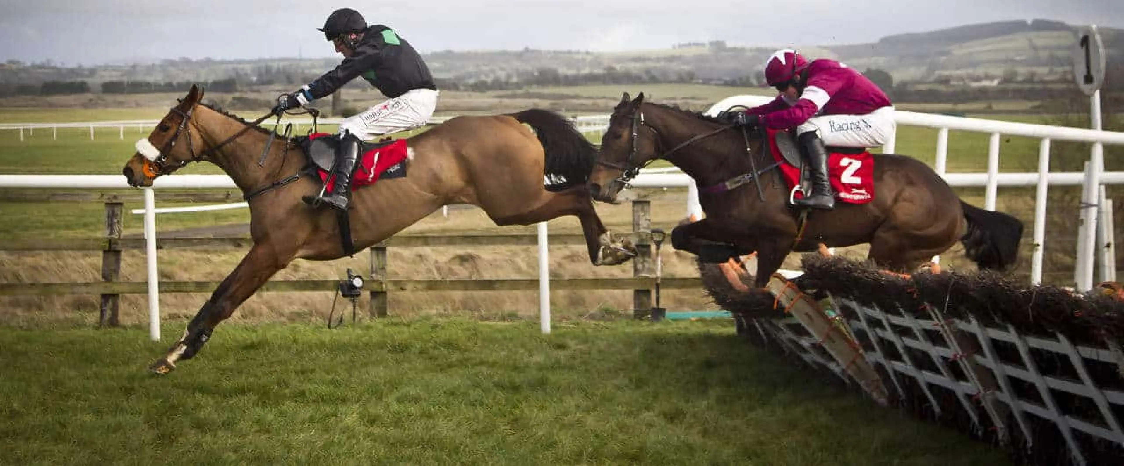 Rock On The Moor bets and Waiting Patiently odds are among Coral's Newcastle and Warwick tips for December 8.