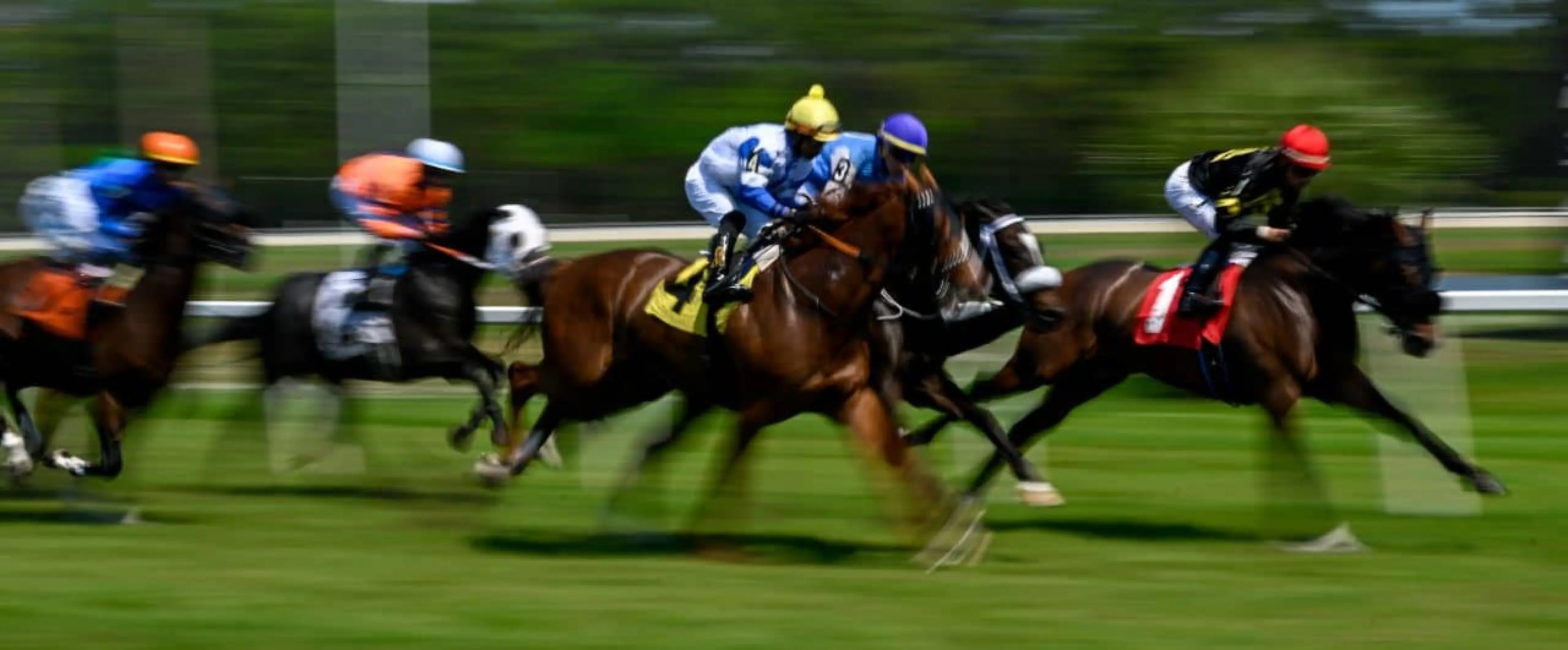 Tampa Bay Downs
