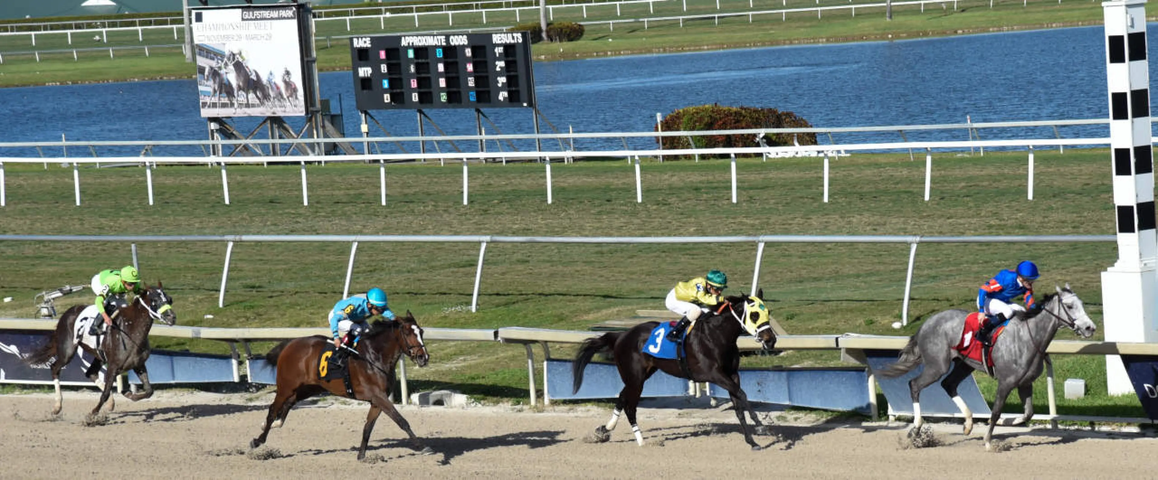 Horse Racing Gulfstream Park