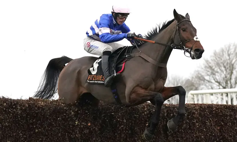 Fakir D'Oudairies, Ryanair Chase betting odds, horse racing