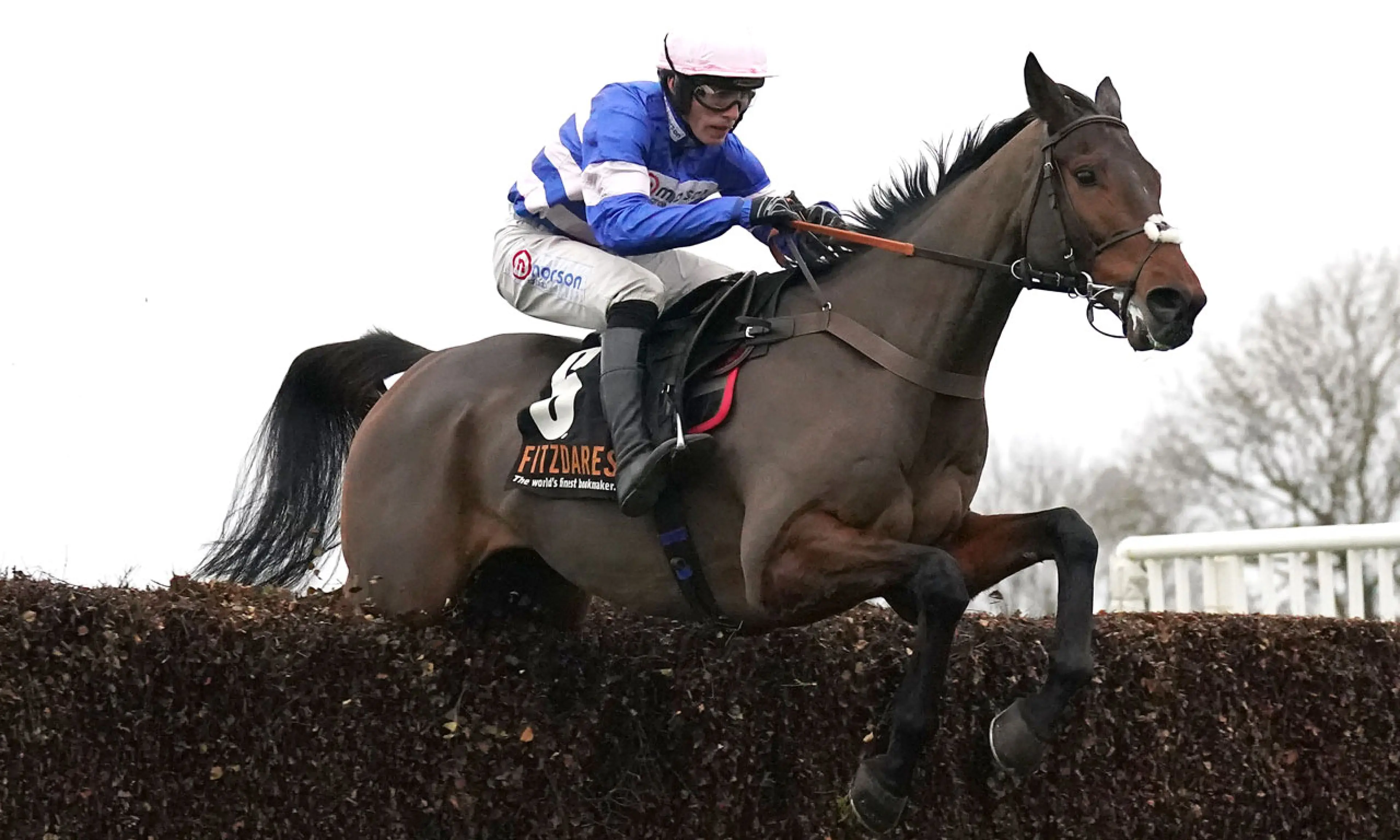 Fakir D'Oudairies, Ryanair Chase betting odds, horse racing