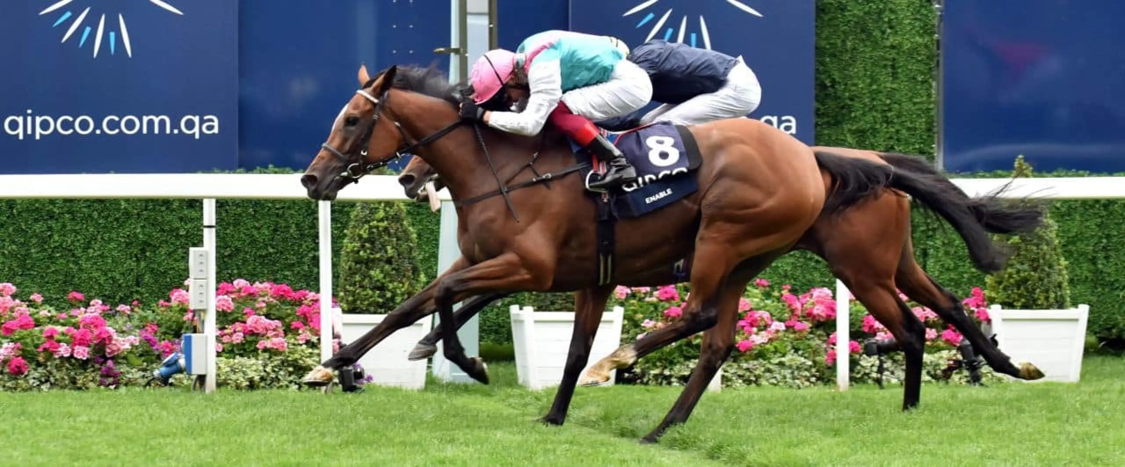 Enable