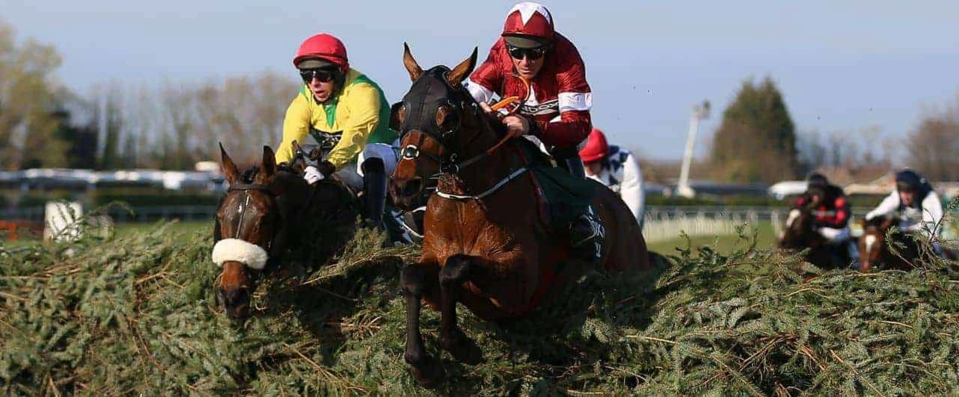 Tiger Roll