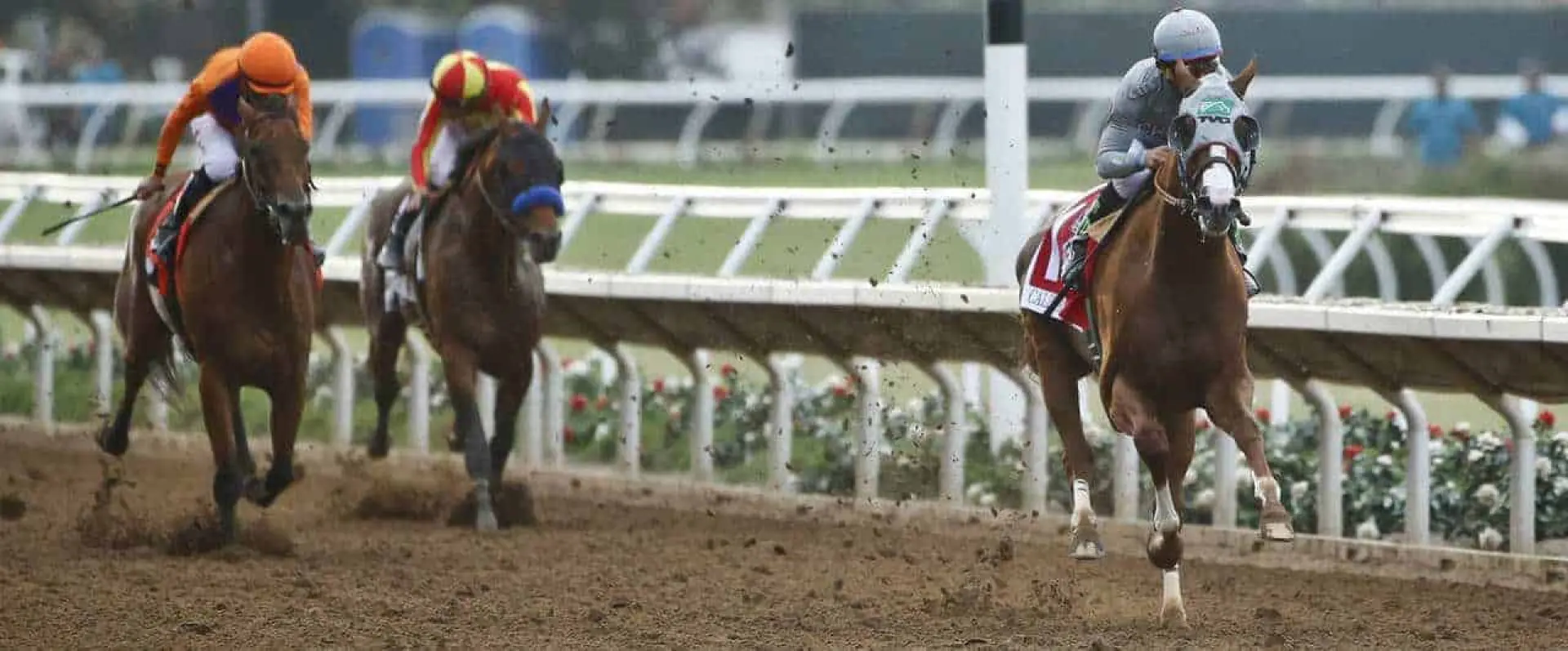 When it comes to Breeders' Cup Classic 2016 tips, California Chrome odds lead the way.