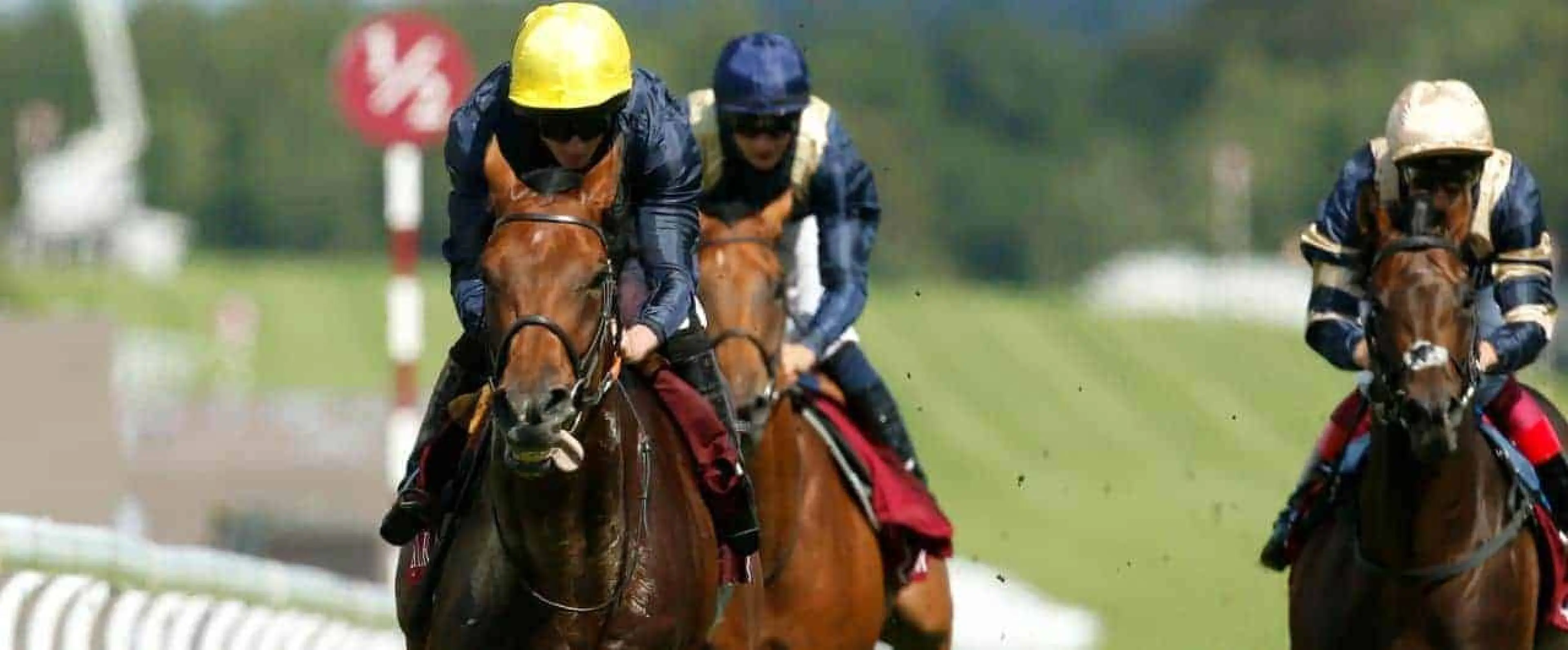 St Leger odds, Crystal Ocean odds, Capri odds, Stradivarius odds